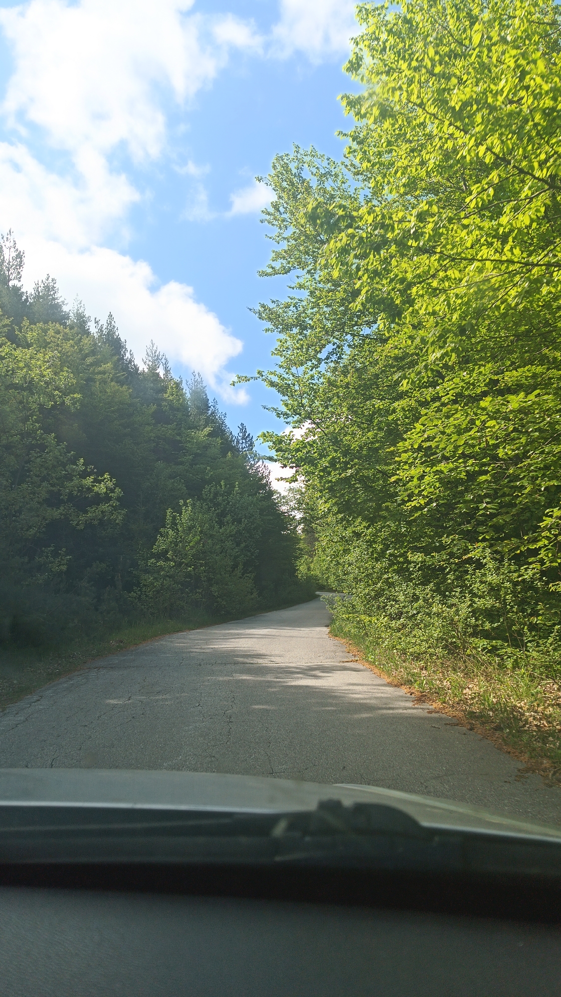 A road winds through a lush, green forest, under a partly cloudy sky. The photo is taken from inside a car, the dashboard visible in the lower part of the frame. Based on the location provided, this scene is likely in or near the city of Vratsa, Bulgaria, given the "Vrata" spelling is a common misspelling. The road surface is cracked and shows signs of wear. The trees form a dense canopy overhead, casting shadows on the road. The lighting indicates it is daytime.