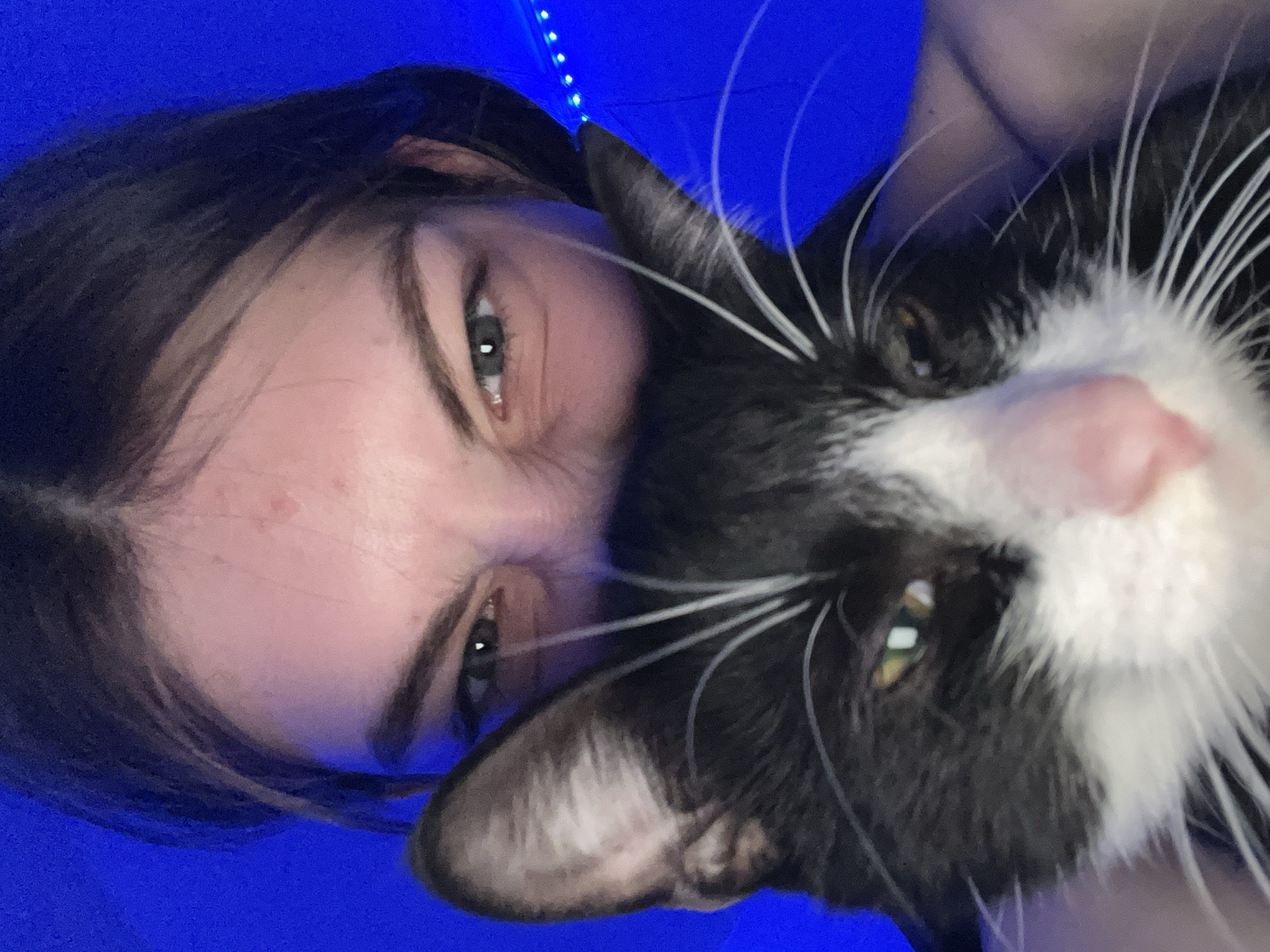 An indoor portrait, identified by the prompt as located in Saint Petersburg, Russia, features a person partially obscured by a black and white tuxedo cat. The background is illuminated with an intense blue light, with a string of blue LED lights visible on the right side. The person, positioned behind the cat, has dark hair, a visible forehead with minor blemishes, and dark eyes that are narrowed, creating small wrinkles at the outer corners. The cat, in the foreground, occupies the lower half of the frame, facing slightly left. Its left eye is visible, exhibiting a reflection of white and yellow light. It has prominent white whiskers fanning out from its snout, which is pink. The cat's left ear is visible above its eye, and its black fur contrasts with its white chest and chin areas. The person's left hand or arm is visible behind the cat's right side, suggesting they are holding the animal.