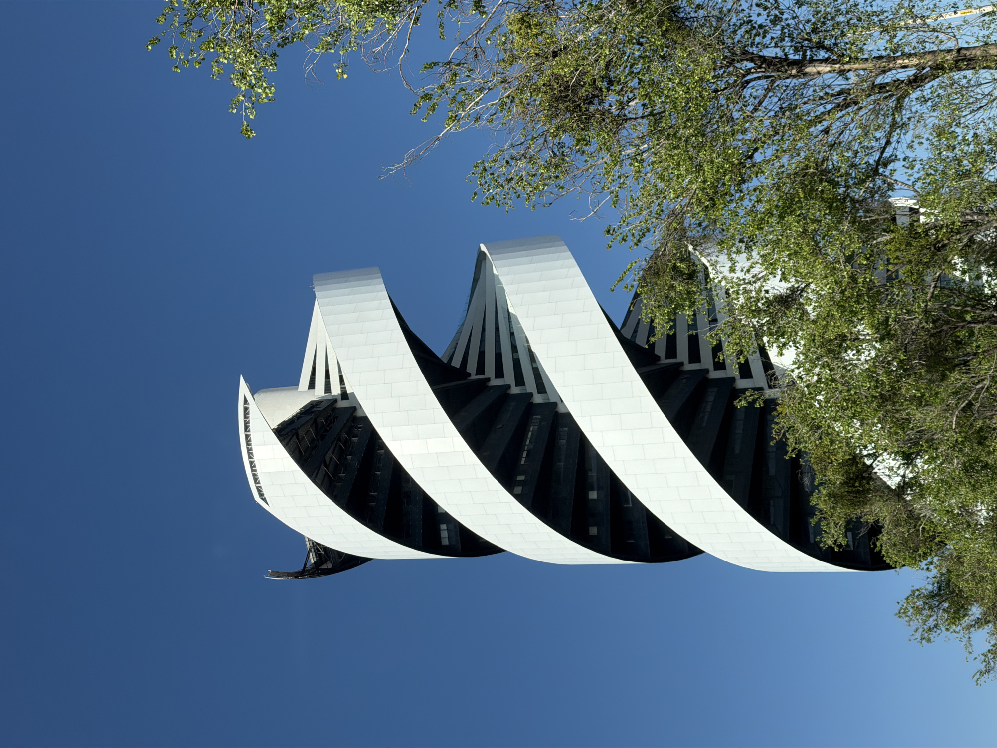 A modern, high-rise building with a distinctive white helical facade stands prominently against a clear, bright blue sky in San Bernardino Tlaxcalancingo, Mexico. The structure features broad, white, paneled bands that spiral upwards around a darker, cylindrical core revealing multiple floors with windows. The building's summit tapers into an architectural point. Green trees with sparse foliage partially obscure the lower and mid-sections of the building, occupying the foreground on the right and bottom-left portions of the frame. The scene is illuminated by direct sunlight. No individuals, overt actions, or interactions are present.