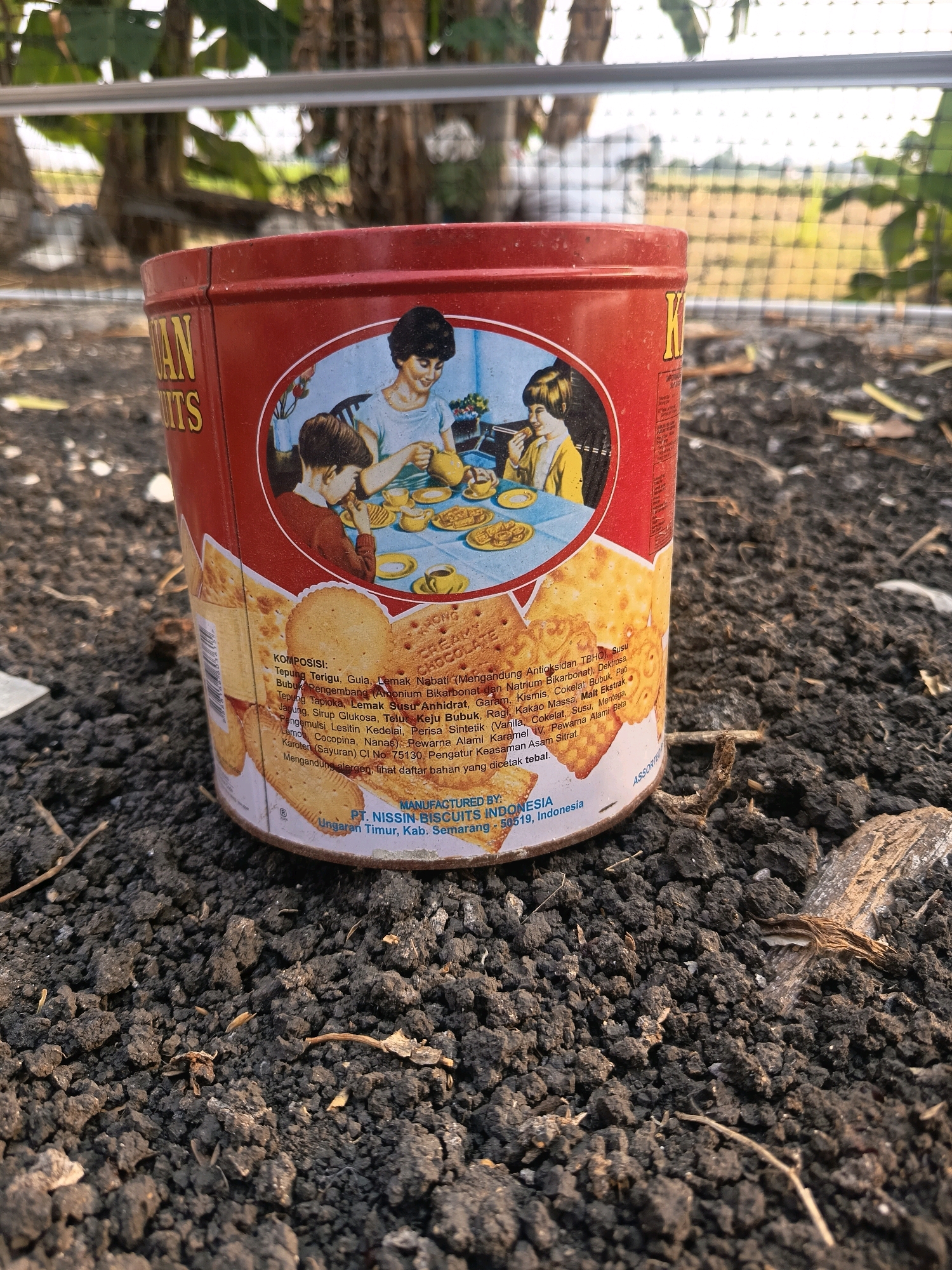 A low-angle, medium shot captures a red tin of biscuits resting on dark, crumbly soil in an outdoor environment. The tin, decorated with an illustration of a family sharing biscuits and tea, is positioned slightly to the left of the frame. Text on the tin indicates it is "Wan Biscuits" and lists ingredients, with "MANUFACTURED BY: PT. NISSIN BISCUITS INDONESIA" and "Ungaran Timur, Kab. Semarang - 50519, Indonesia" printed near the bottom. The background shows blurred foliage, a horizontal white bar, and a fence with a field beyond, suggesting a semi-rural or garden setting. The soil is littered with dry organic debris. The lighting suggests it is daytime, with sunlight illuminating the scene.