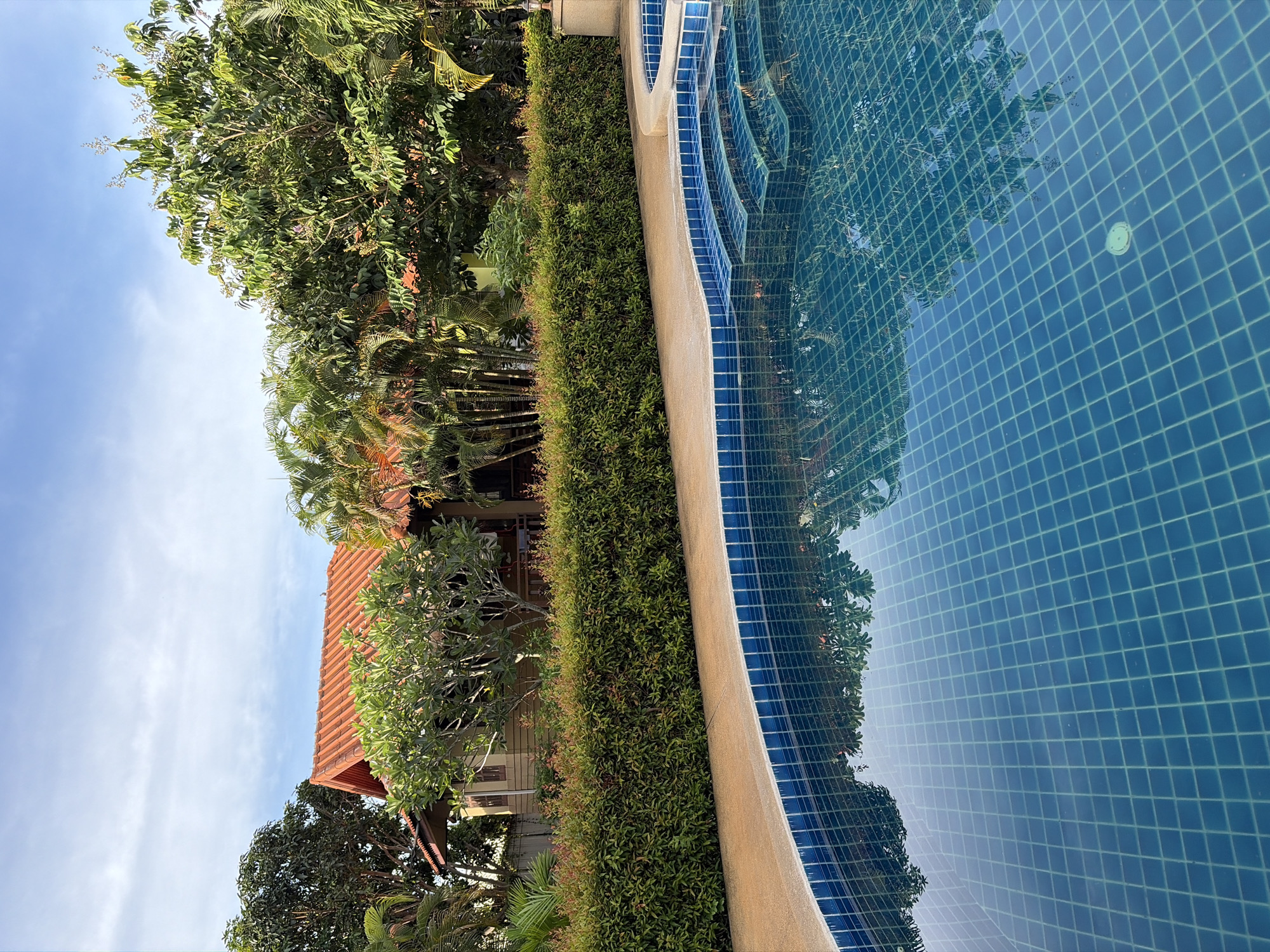 The image depicts a poolside scene in Baan Mae Nam, Thailand, on a sunny day. The perspective is from within the swimming pool, looking outwards towards the lush, tropical surroundings. The water is a clear, inviting blue, with the distinct grid pattern of the pool tiles visible beneath the surface. Reflections of palm trees and foliage can be seen shimmering on the water's surface, adding to the serene atmosphere.
To the left of the pool, a neatly trimmed green hedge forms a boundary, separating the water from the adjacent property. Beyond the hedge, a building with a reddish-orange tiled roof is partially visible, interspersed with dense tropical vegetation, including various trees and palm fronds. The bright blue sky, with a few wispy clouds, suggests fair weather. The overall impression is one of a tranquil, well-maintained resort or private residence, ideal for relaxation and enjoying the tropical climate. No people are visible in the frame. The image is oriented vertically, giving a sense of depth and immersion in the scene.