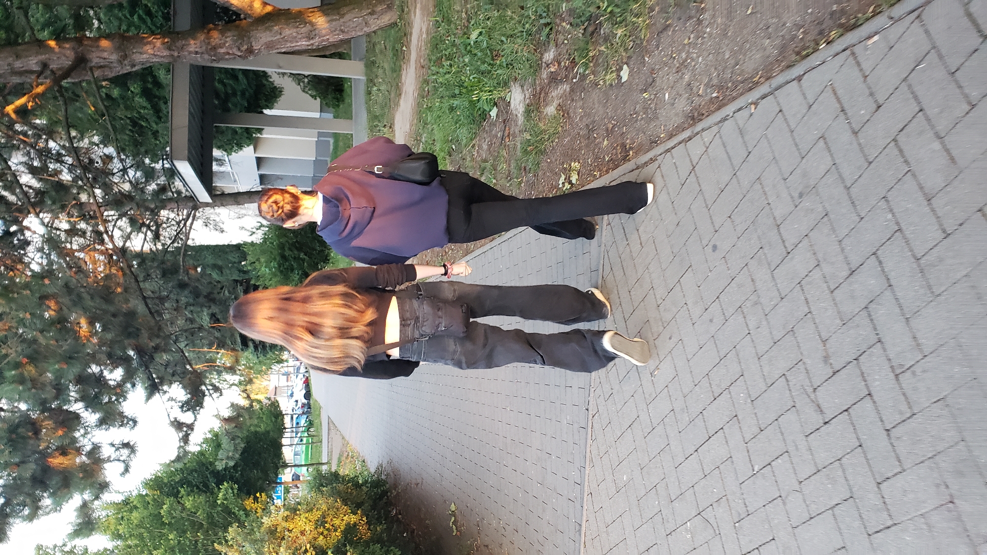 Two individuals, viewed from behind, walk along a paved sidewalk. The person on the left has long, light brown hair and wears a black crop top, baggy grey jeans, and white sneakers. A small black bag is slung across their waist. The person on the right has their hair in a bun, wears a dark blue hooded sweatshirt and black pants, and carries a black handbag over their shoulder. They are both walking away from the viewer towards the right side of the frame. The sidewalk is constructed of grey interlocking bricks laid in a herringbone pattern. To the left of the sidewalk is a dense hedge with sunlight illuminating its foliage. Beyond the hedge, a row of cars and streetlights are visible, suggesting a public area. To the right of the sidewalk, there is a patch of grass and trees, with a building structure visible in the background. The overall lighting suggests it is late afternoon or early evening, with warm sunlight casting shadows. This scene is captured on the sidewalk adjacent to the residential buildings and green spaces located on Sekčovská street in Prešov, Slovakia, a common area for pedestrian movement and recreation.