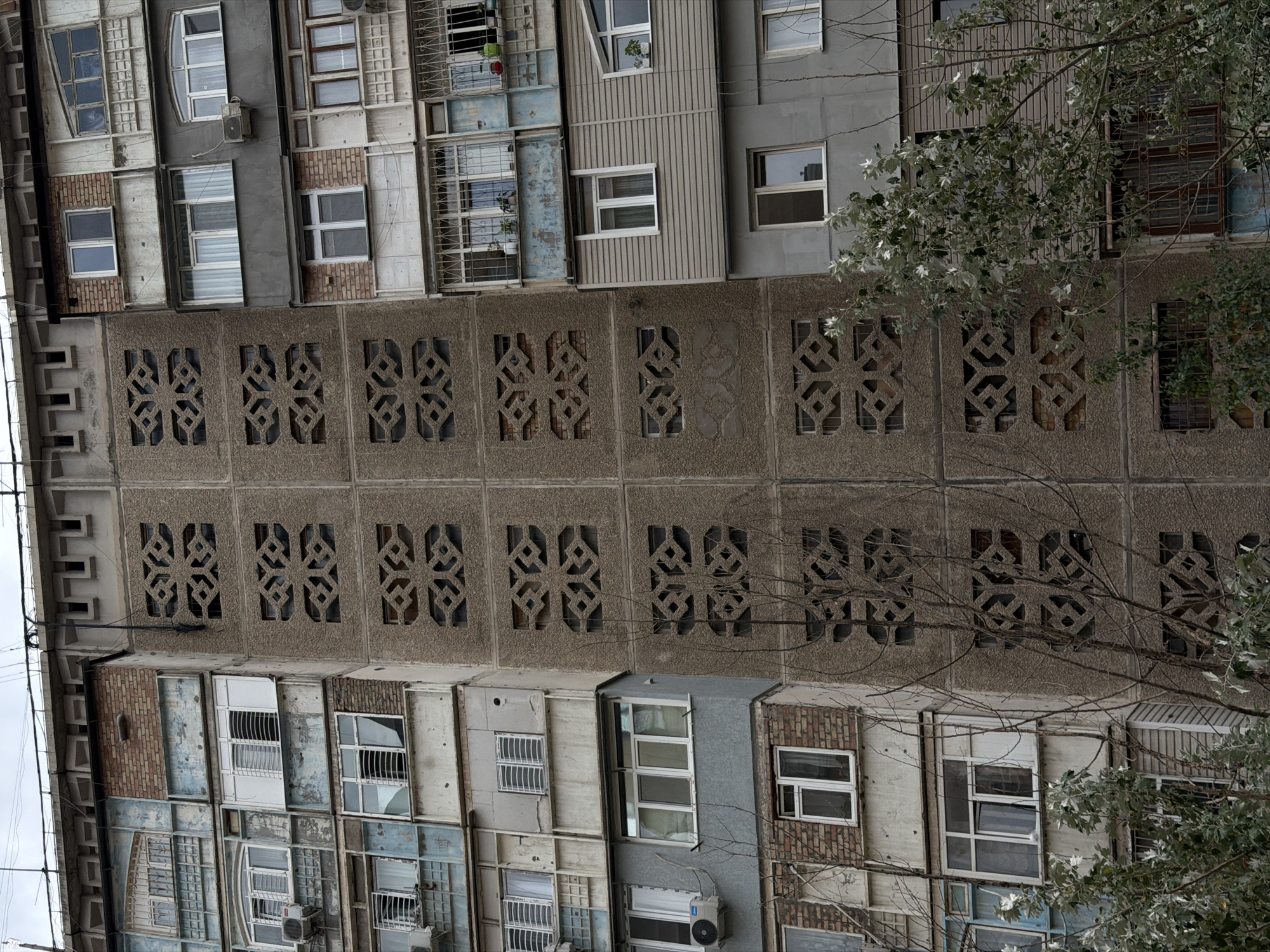 An exterior, eye-level, wide shot captures a concrete apartment building in an unknown city. The building features a central section with decorative concrete panels containing geometric cutouts. To the left of this central section is a facade with multiple windows, some with air conditioning units attached, and varying architectural styles. The right side of the building also displays multiple windows and balconies. A few bare branches from a tree in the foreground obscure parts of the lower floors. The sky above is overcast and grey.