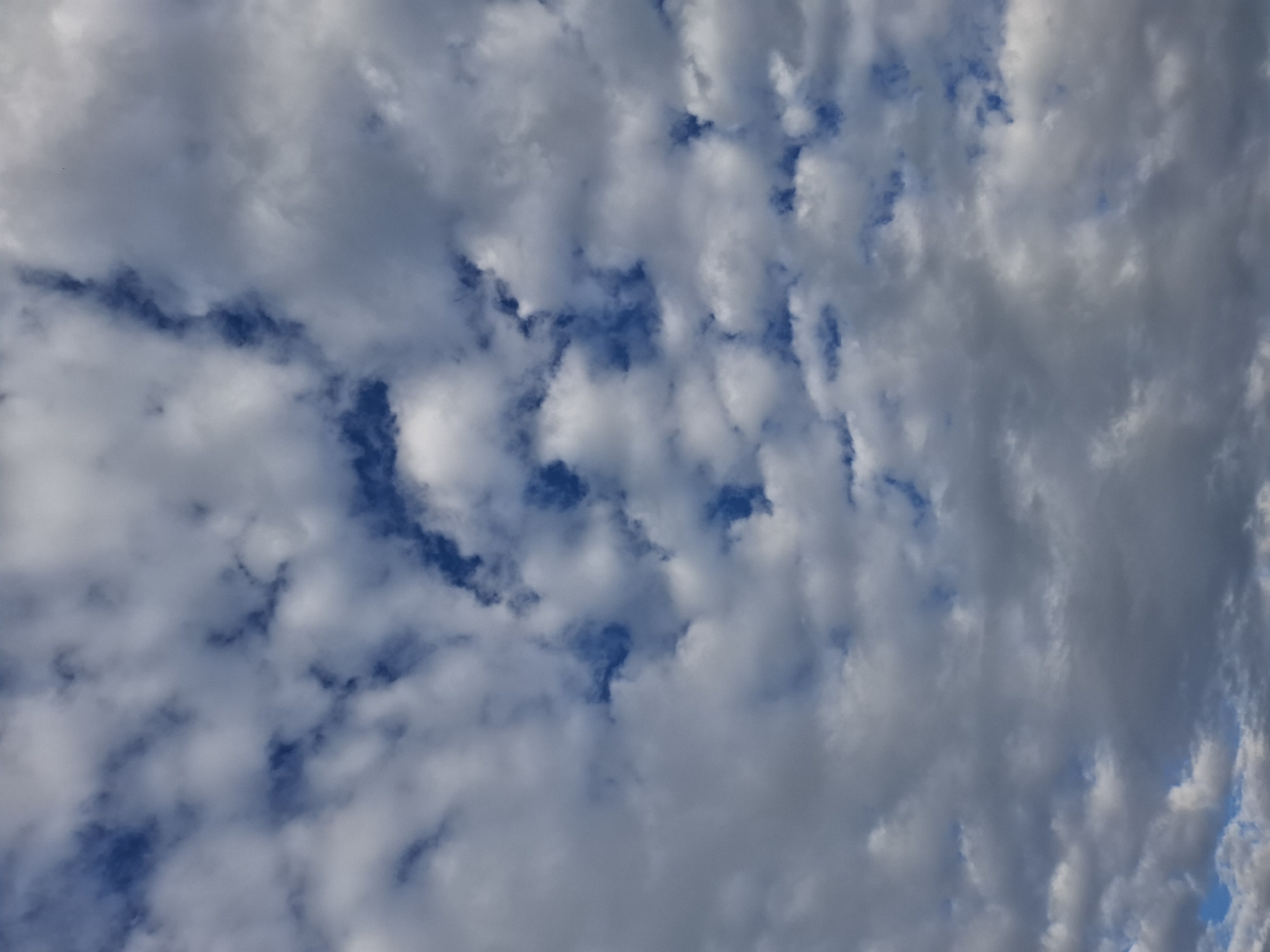 This is a close-up, high-angle shot of a cloudy sky. The clouds are a mix of white and gray, with patches of bright blue sky visible through them. The clouds appear to be cumulus and stratocumulus formations, indicating fair to partly cloudy weather. The lighting suggests it is daytime, likely late morning or afternoon, as there are no strong shadows. The image is a still capture, and no activity or event is taking place beyond the natural movement of clouds. There are no people, objects, or text visible in the image. The overall impression is one of a vast, open sky, perhaps on a slightly breezy day. The focus is entirely on the texture and patterns of the clouds against the blue backdrop.