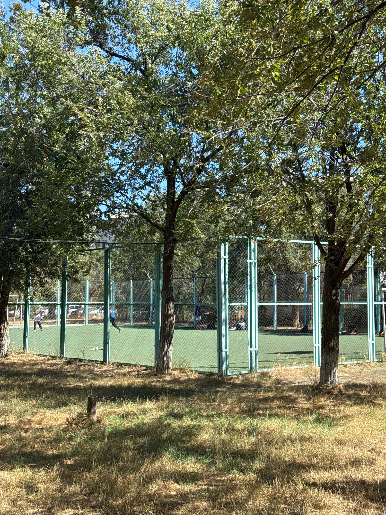 The image captures a green outdoor sports court surrounded by a chain-link fence with light blue metal posts. Several people are visible on the court, appearing to be engaged in a game. Tall trees with green foliage frame the scene, casting shadows on the dry, yellowed grass in the foreground. In the background, there are glimpses of parked cars and a building. The sky is clear and blue, indicating a sunny day. This scene is located in the city of Aktobe, Kazakhstan, likely a public recreational area.