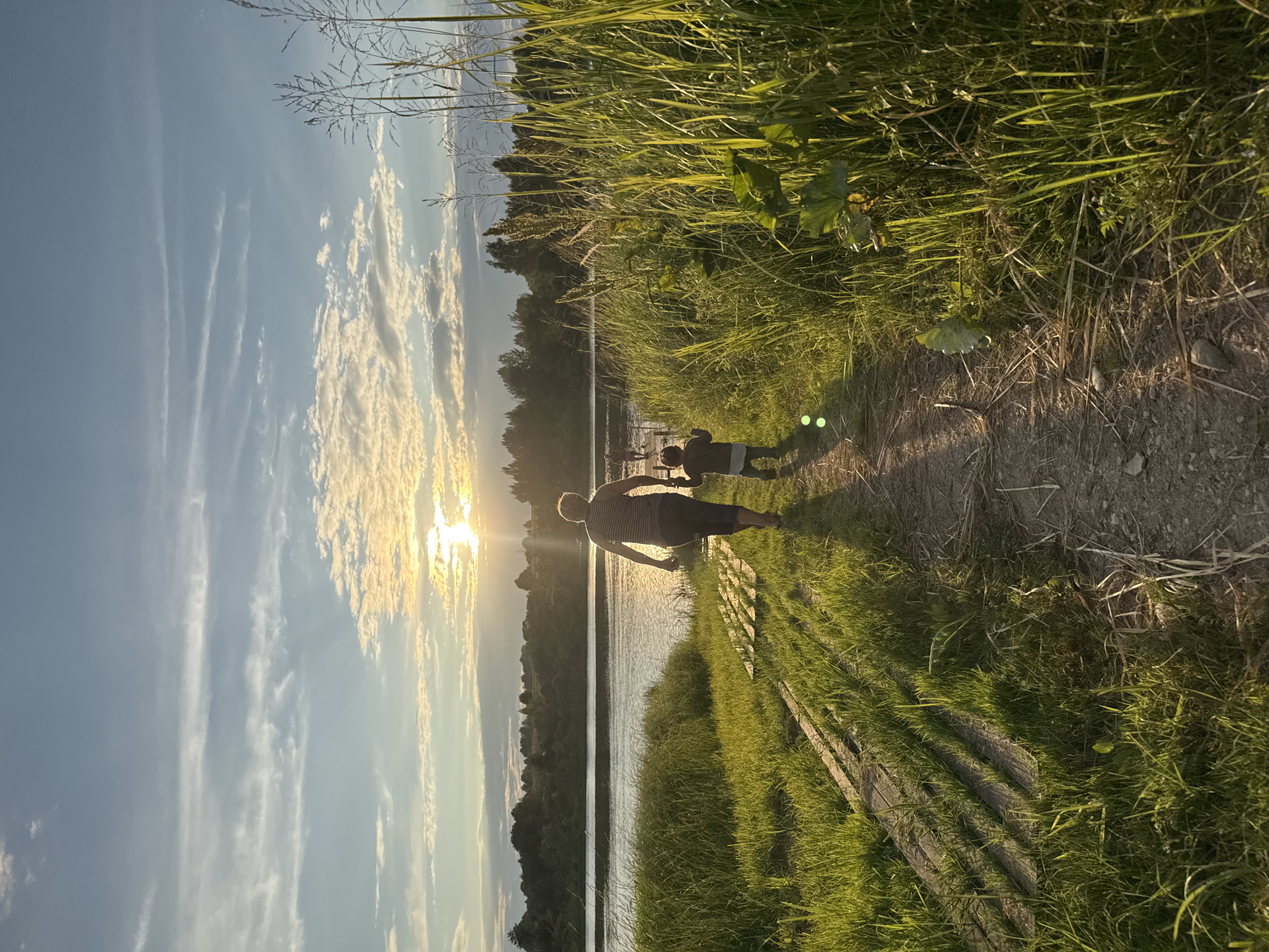 In Sitno, Russia, at sunset, two individuals, an adult and a child, walk away from the camera along a dirt path bordered by tall grass. The adult, wearing a striped tank top and dark pants, is on the left, and the child, in a dark shirt and light pants, is on the right. They are walking towards a body of water, likely a lake or river, with a tree-lined shore in the distance. The sun, low in the sky, casts a warm glow on the scene, creating lens flare and highlighting the clouds. Wooden planks are visible to the left of the path, partially overgrown with grass. The environment is natural and serene, suggesting a rural or park setting.