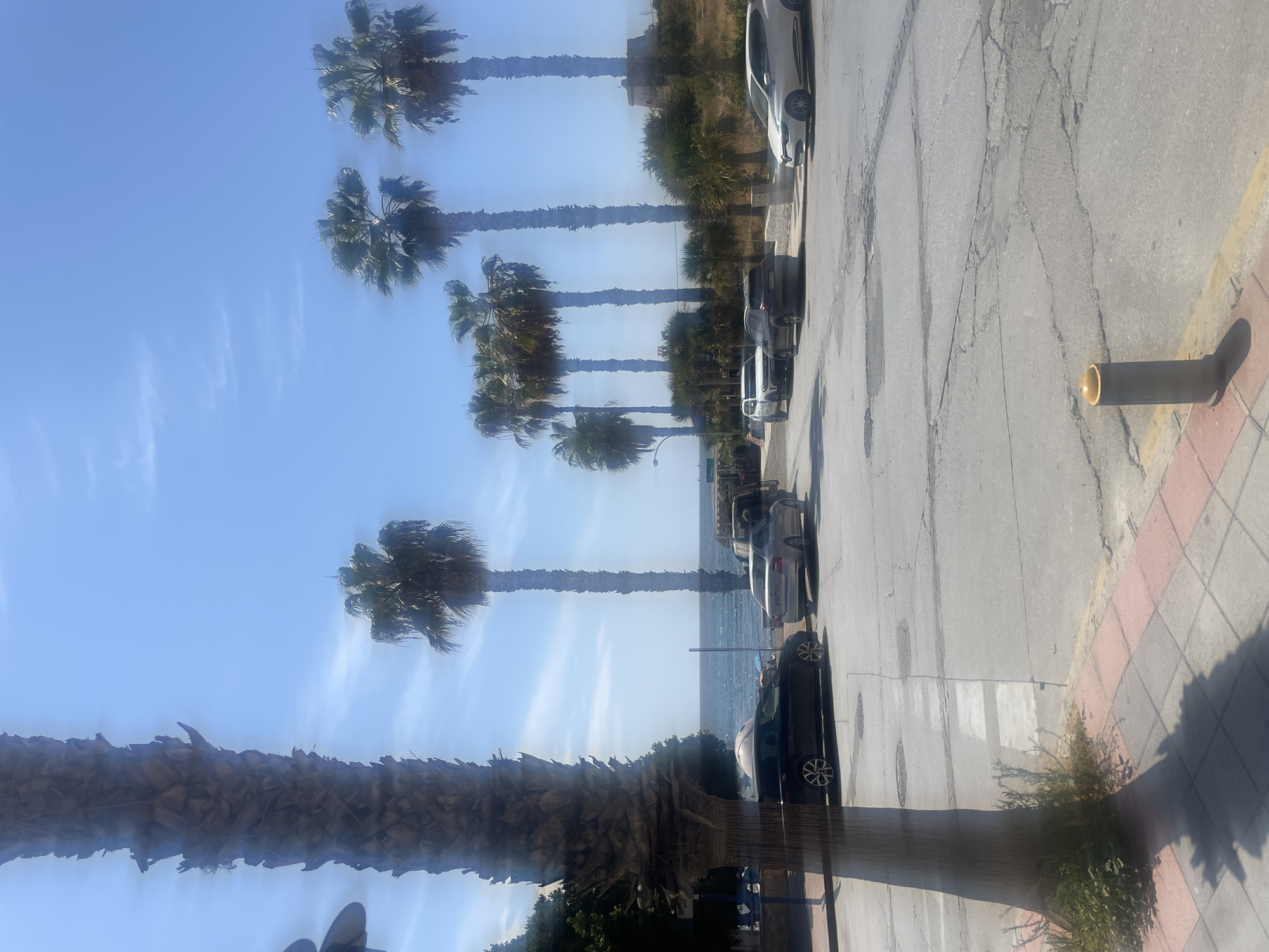 This image depicts a street scene in Almuñécar, Spain, likely along a coastal area. Tall palm trees dominate the foreground and mid-ground, with their fronds reaching towards a clear blue sky. Several cars are parked along the street and in a parking area. In the background, the sea is visible, with gentle waves suggesting a calm day. A few low buildings and some vegetation are also present. The road surface appears to be asphalt with some visible cracks and patches. The overall impression is one of a sunny, tropical or Mediterranean environment.