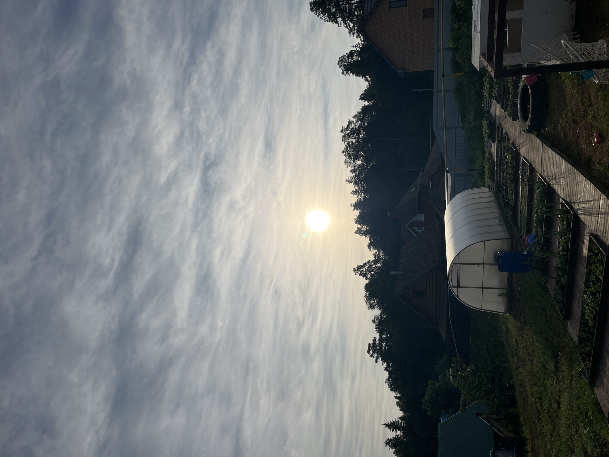 This image captures a bright, sunny outdoor scene, likely a garden or backyard in a rural or suburban setting, specifically Chaikovsky, Russia. The sky dominates the upper half of the frame, filled with thin, wispy white clouds (possibly cirrus or cirrostratus) stretching horizontally. A brilliant, circular sun, almost a lens flare, is positioned towards the upper right, indicating a high sun, likely late morning or early afternoon.
Below the horizon line, which is partially obscured by trees and structures, lies a landscape featuring cultivated garden plots and residential buildings. A prominent white, translucent arched greenhouse stands in the mid-ground on the left. To its right, a wooden walkway or path runs alongside what appear to be raised garden beds with young green plants. A blue barrel is visible next to the greenhouse, and further right, a large black tire and a white play structure or shed can be seen.
Dense, dark green trees form a significant portion of the background, silhouetted against the bright sky. Several houses are visible: a red brick house with a dark roof partially visible on the far right, and at least two other darker-toned wooden houses nestled within or behind the tree line. A light-colored fence runs along the background.
No specific human activity or event is depicted, creating a static and serene atmosphere. The bright sunlight and lush greenery suggest pleasant weather conditions. No visible text is present in the image.