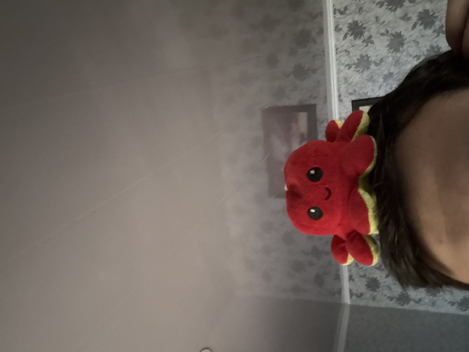 This image depicts an indoor scene in Bakurtsikhe, Georgia. The primary focus is a red and yellow reversible octopus plush toy resting on the top of a person's head. The plush toy is red on its upper surface, displaying two black eyes and a small black curved smile, with its yellow underside visible around its base and tentacles. Only the upper forehead and dark brown hair of an individual are visible at the bottom of the frame, beneath the plush toy. The background features a wall covered in light grey wallpaper with a repeating darker grey floral or foliage pattern. A dark-framed picture, with indistinct content, hangs on the wall in the upper right quadrant. A white decorative molding separates the patterned wall from a plain, light-colored ceiling that occupies the upper third of the image. No active interactions are occurring.