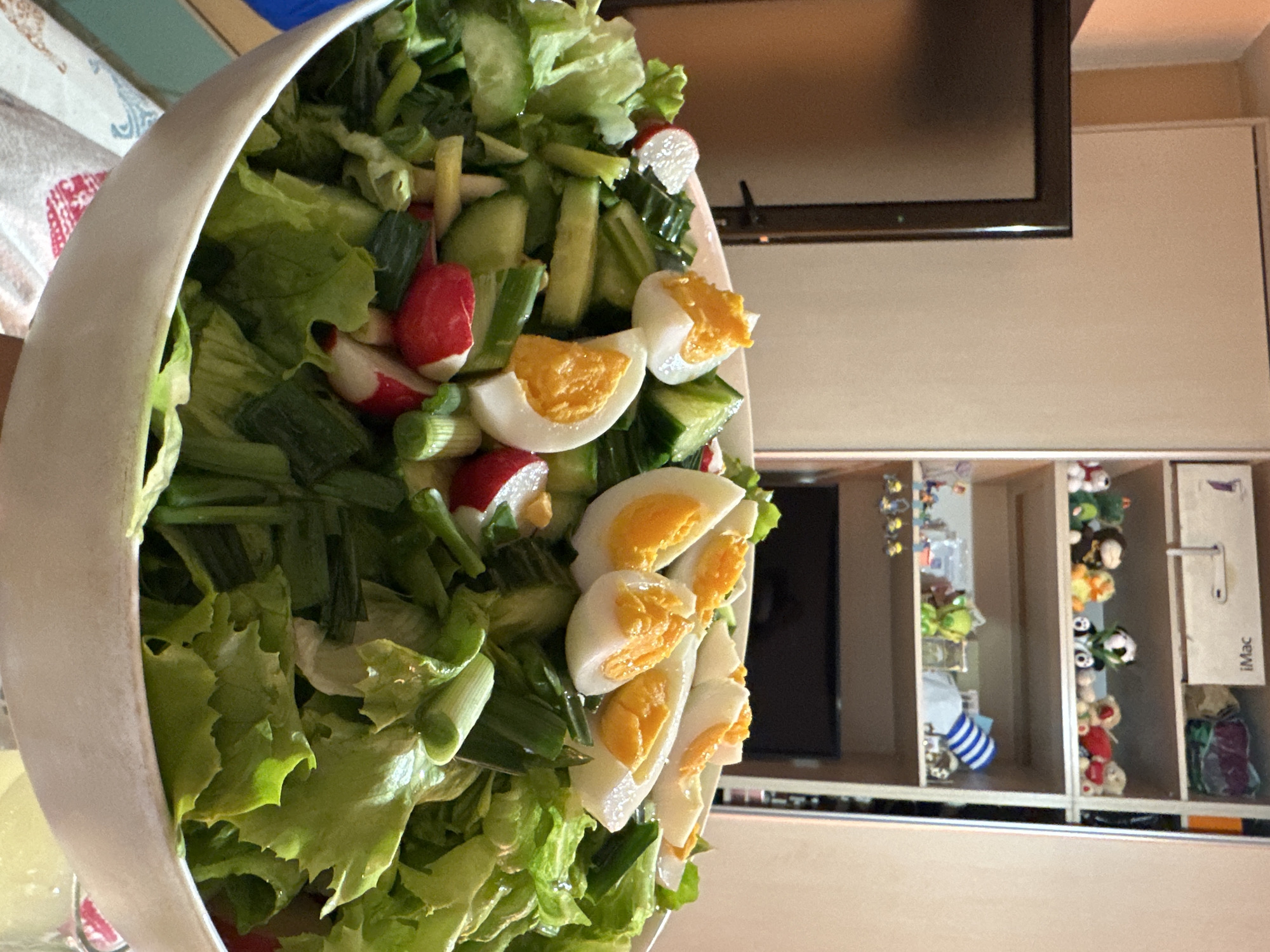 A salad bowl dominates the foreground, filled with lettuce, sliced cucumbers, halved hard-boiled eggs, radishes, and chopped green onions. The bowl is white and appears large, almost overflowing with the salad ingredients.
In the blurred background, there is a TV mounted on the wall. To the right of the TV, a built-in shelving unit is visible, containing stuffed animals, various decorative items, and a box labeled "iMac." The wall is painted in a neutral beige tone. There are no people visible. The context provided indicates the image may be taken in Sofia, Bulgaria, however, there are no elements in the image which would allow me to confirm or deny the location.