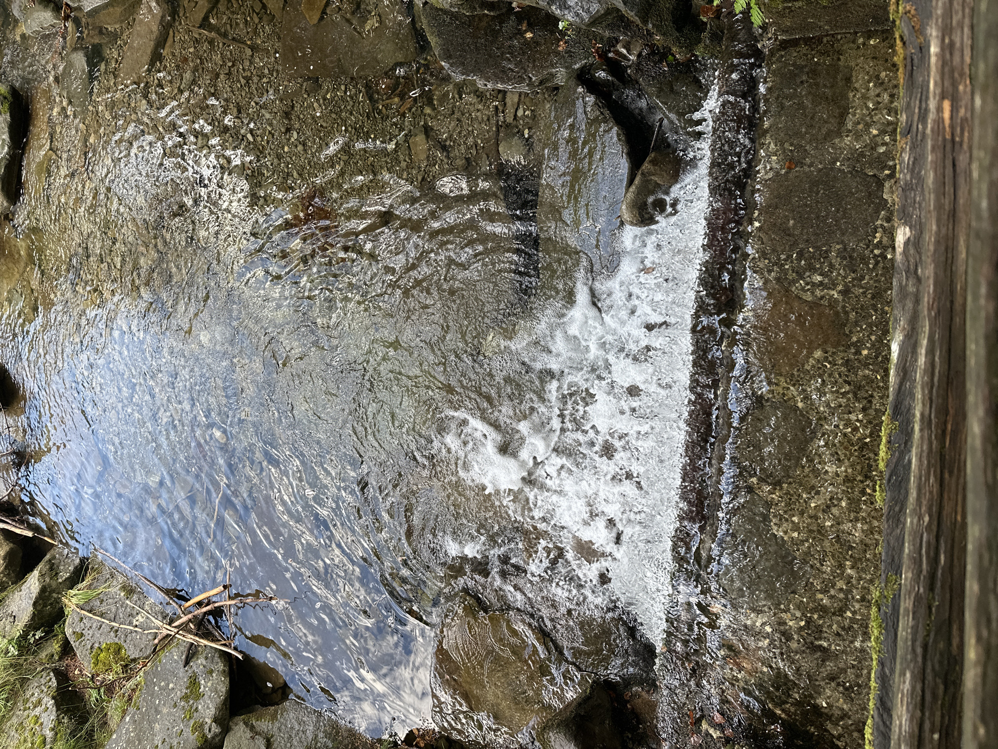 The image shows a close-up, high-angle view of a small stream flowing over rocks. The water is clear and reflects the sky, creating ripples and patterns on the surface. The stream bed is composed of various-sized pebbles and rocks, with some larger boulders visible along the edges. There are also a few fallen twigs and leaves in and around the water. In the foreground, a wooden plank runs horizontally across the bottom of the frame, appearing weathered and covered in moss in some areas. The scene is natural and appears to be located outdoors, possibly in a forest or park setting. The provided context indicates the location is in Corniglio, Italy, though this cannot be visually confirmed from the image itself. No people or animals are present.