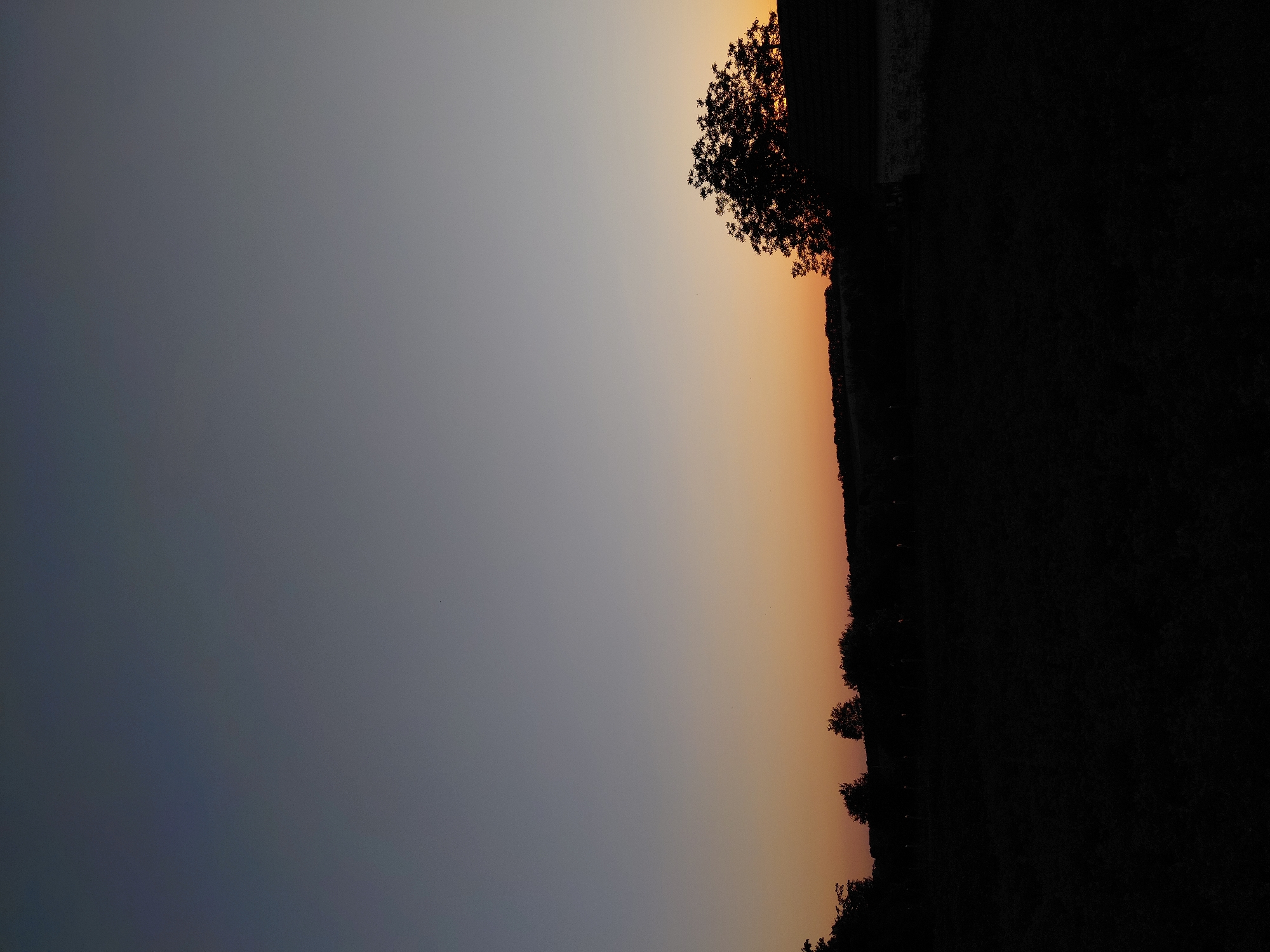 A wide-angle, vertical photograph captures a twilight landscape. The sky transitions from a deep indigo at the top to a pale orange hue near the horizon. A silhouetted treeline runs across the middle of the image, with a few scattered trees standing out against the lighter sky. To the right, the silhouette of a building with a visible roofline is partially obscured by a large, dense tree. The foreground is a dark, indistinct field, with faint vertical elements that might be fence posts or other small structures. The overall impression is one of a rural setting at dusk.