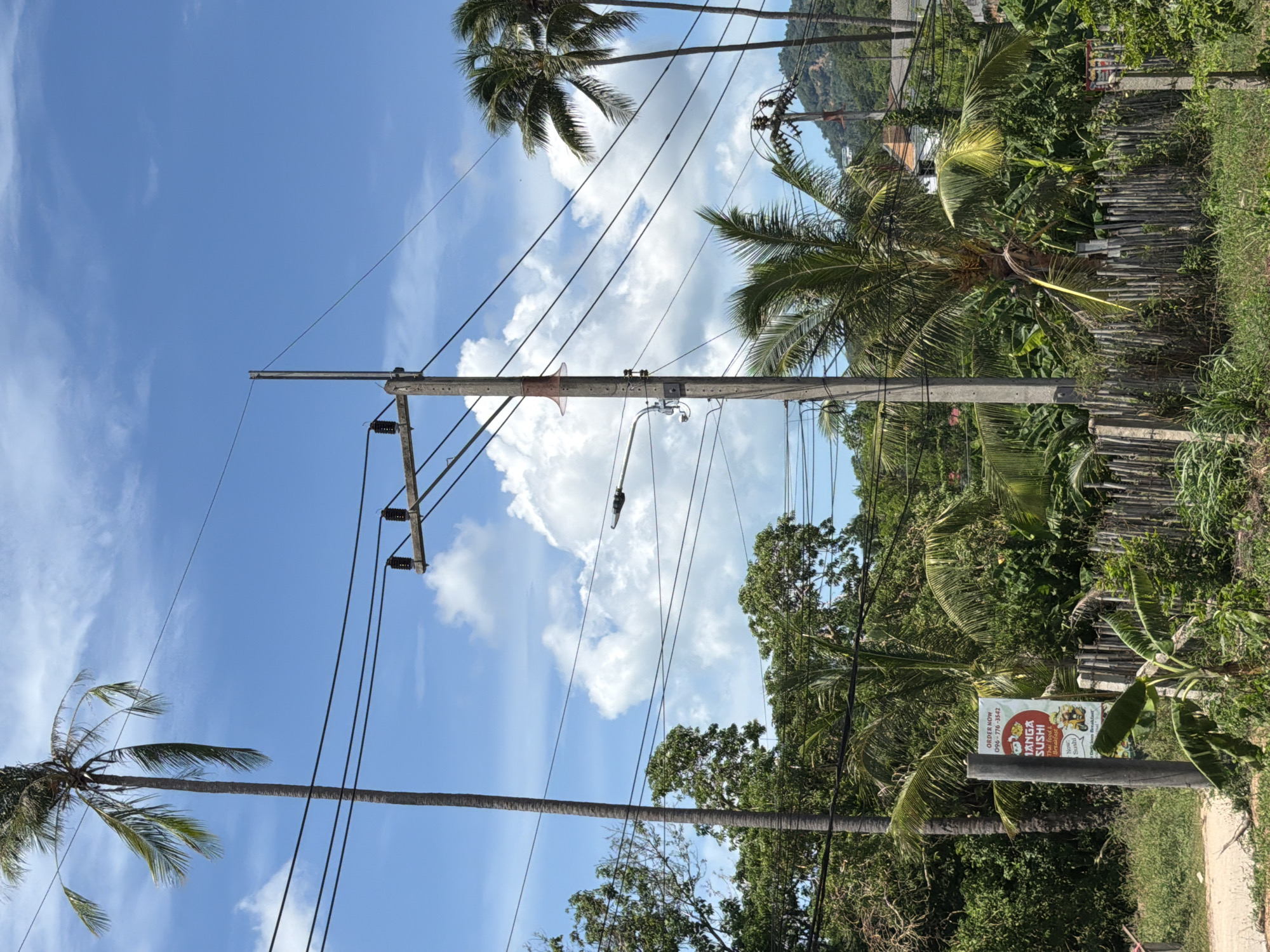 In Baan Bo Phut, Thailand, a street scene unfolds under a bright, partly cloudy sky. A tall, slender palm tree dominates the left side of the frame, its fronds swaying gently. In the center, a utility pole stands tall, adorned with multiple power lines that crisscross the sky. Another utility pole is visible further in the distance on the right. A narrow, vertical banner is attached to the central pole, displaying colorful text and graphics for "MANGA SUSHI" and a phone number.
The foreground is a mix of lush greenery, with various tropical plants, including banana trees, growing densely. A rustic wooden fence, constructed from uneven posts, runs horizontally across the middle ground, separating the path from the vegetation. In the background, more trees and a sloping hillside with houses and more vegetation can be seen. The overall impression is one of a tropical environment, with evidence of daily life and commerce.