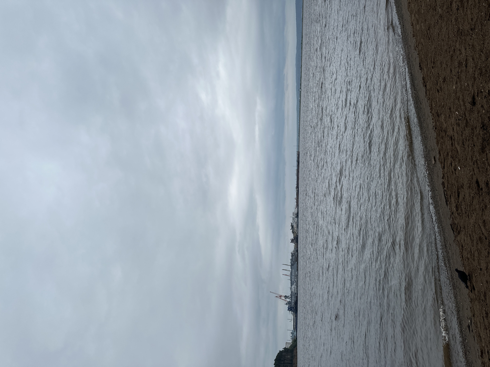 This media file displays a side view of a coastline with a body of water on the left and sandy, dark brown soil on the right. The horizon line is visible, separating the water from the sky, which is filled with overcast, gray clouds. In the distance, along the horizon, a faint industrial silhouette of a port or shipyard can be seen, featuring cranes and various structures. The water appears choppy, with visible ripples across its surface. There is a single dark-colored bird visible on the shore to the right. The scene suggests an outdoor setting, possibly during the day under cloudy weather conditions. No explicit text is visible in the image.