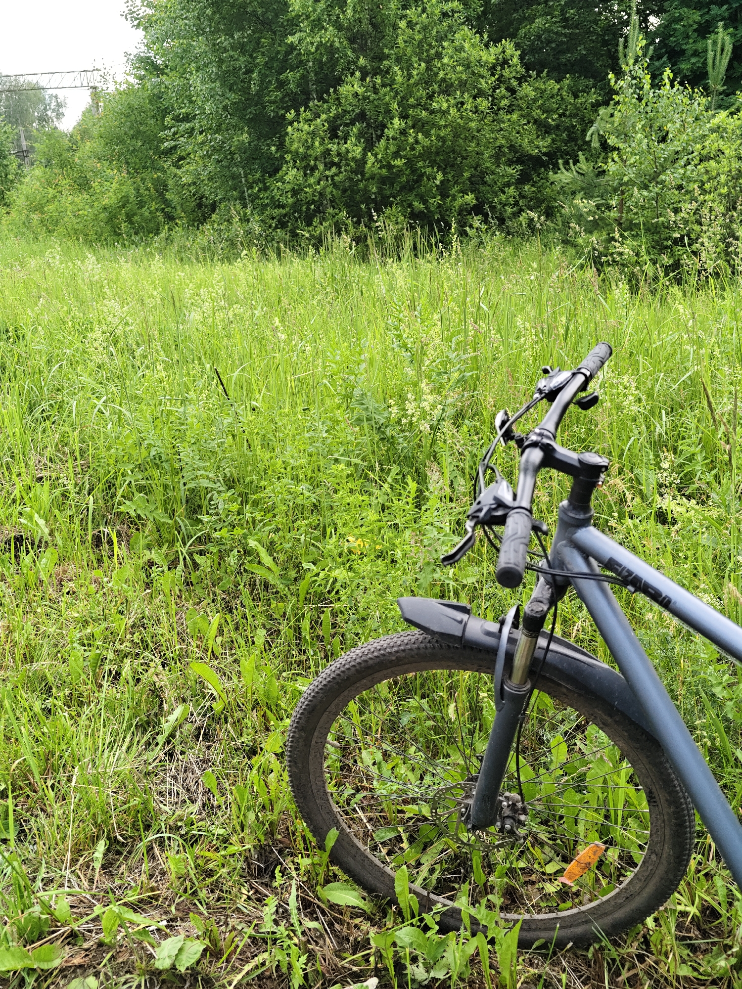 A gray bicycle is leaning on its side in a grassy field. The bicycle is positioned in the foreground, with its handlebars and front wheel visible. The surrounding environment is lush and green, with tall grass and trees in the background. The scene appears to be a natural, outdoor setting. The image was taken in Sudak, Russia.
