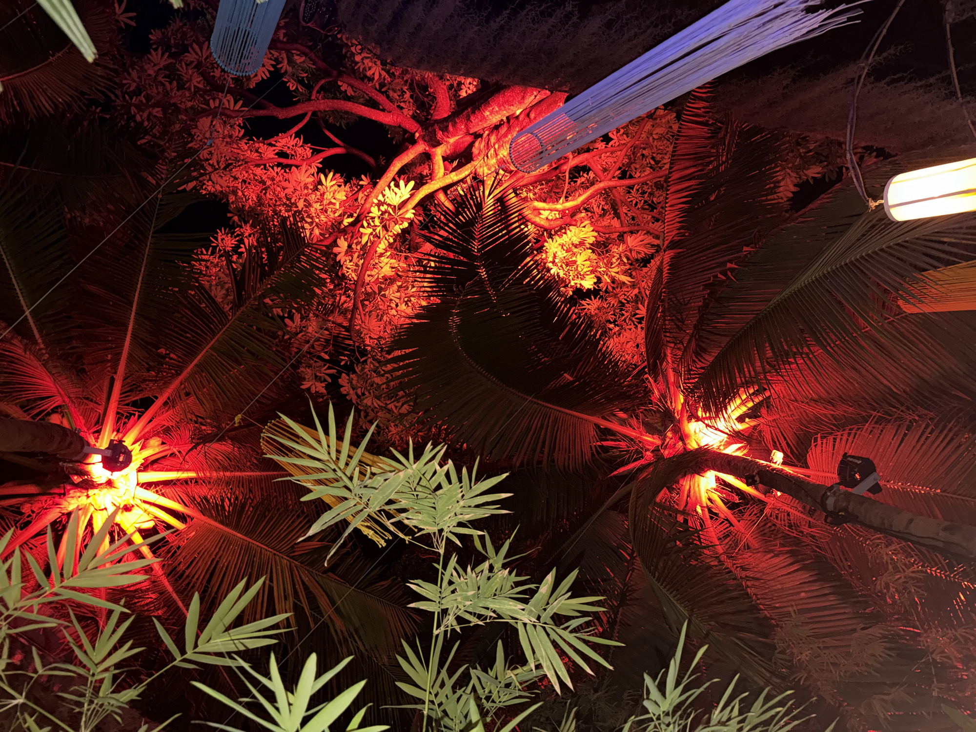 A low-angle nighttime view reveals an outdoor scene in บ้านบางรักษ์, Thailand. Several palm trees are illuminated with red and yellow lights. A blue cylindrical hanging decoration is visible near the top of the frame. In the foreground, several green plants grow. A white cylindrical lantern is visible on the right.
