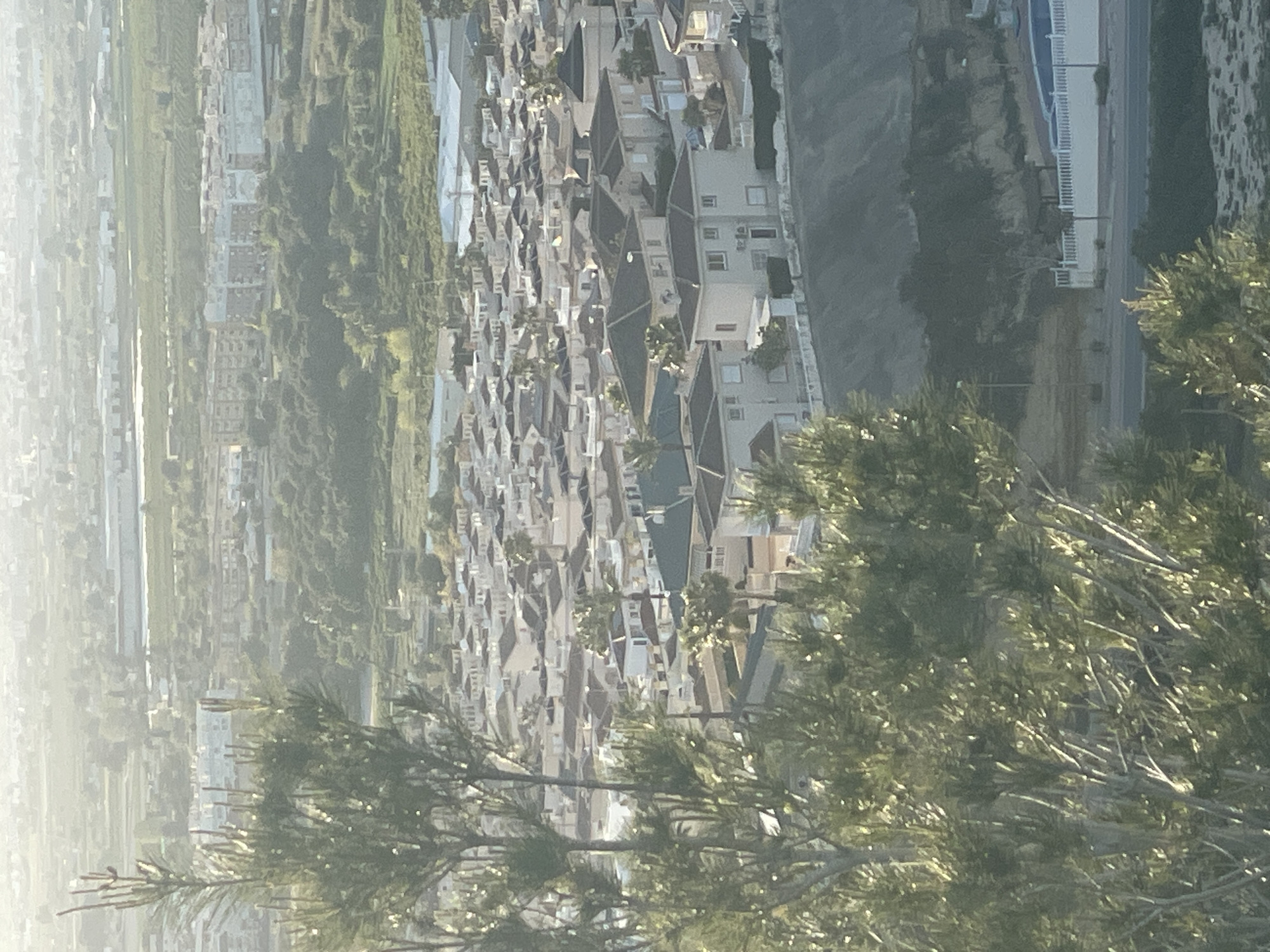 The image captures a residential area in Rojales, Spain, viewed from an elevated position with pine tree branches in the foreground. The neighborhood consists of tightly packed houses with red-tiled roofs, interspersed with patches of vegetation. Beyond the houses, a flat, agricultural area stretches towards the horizon, partially obscured by haze. A road runs alongside a slope with some taller white buildings along the far right.