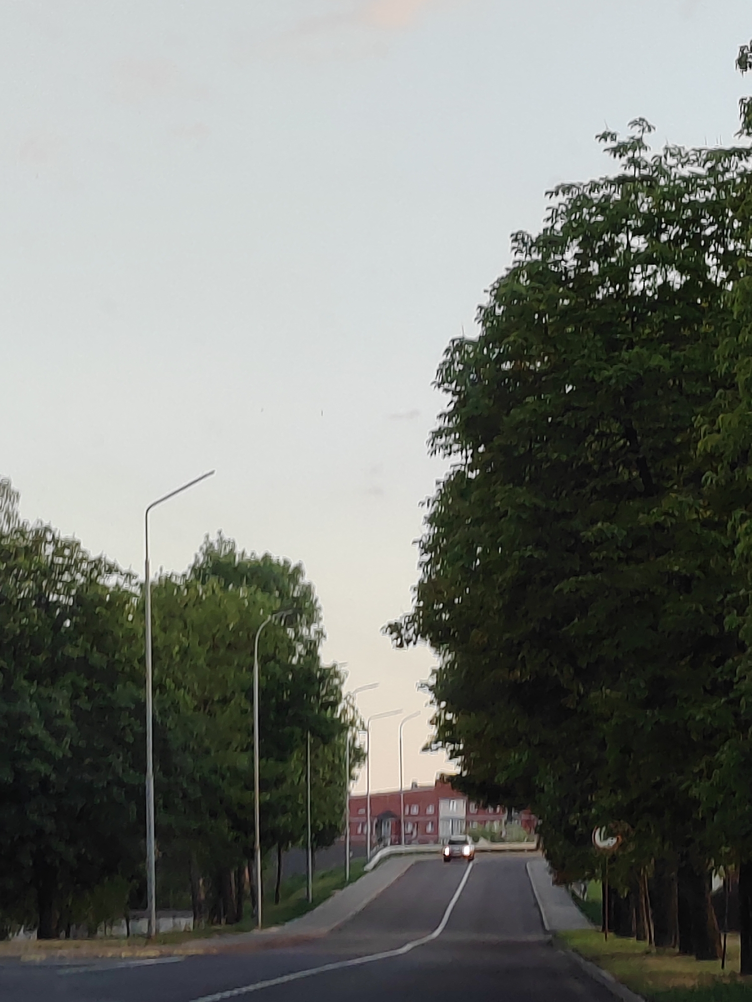 The image depicts a street scene in the city of Brest, Belarus. On the right side of the road, a dense row of mature green trees lines the pavement. On the left side, a similar line of trees is visible. Several streetlights are positioned along the left side of the road. The road itself is paved and appears to be a two-lane street with a white line marking the center. A car with its headlights on is traveling away from the viewer on the road. In the background, there is a multi-story brick building. The sky is overcast and a pale, light gray color.