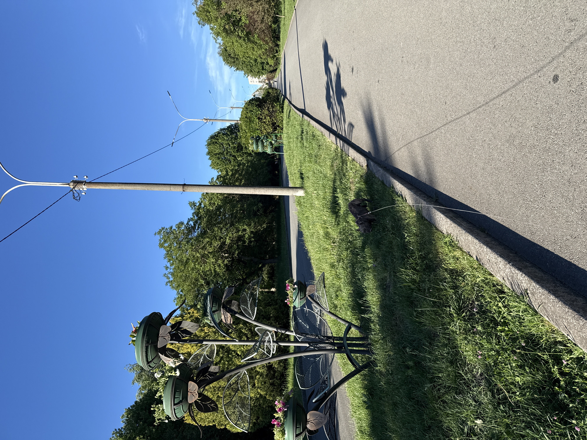 The image depicts a scene alongside a paved road, potentially a sidewalk or bike path, in what appears to be a park or green space. The location is identified as Ternopil, Ukraine.
**Environment:** The sky is clear and blue, suggesting a sunny day. Trees line the background and are visible in the foreground. The ground is covered in green grass, with some areas of wild vegetation close to the road edge.
**Objects:**
* A decorative metal flower stand with green flower containers is located on the grass near the road.
* A concrete road curb separates the paved surface from the grassy area.
* Utility poles with overhead wires are visible, suggesting the presence of electricity or communication infrastructure.
**Subjects:**
* A shadow of a person on a bicycle is cast on the road, implying someone was riding by.
**Actions and Interactions:**
* The presence of the bicycle shadow suggests the action of someone cycling along the road.
**Essential Details:** The scene shows a public green space in Ternopil, Ukraine, with a mix of natural and urban elements. The presence of a decorative flower stand suggests an attempt to beautify the area.