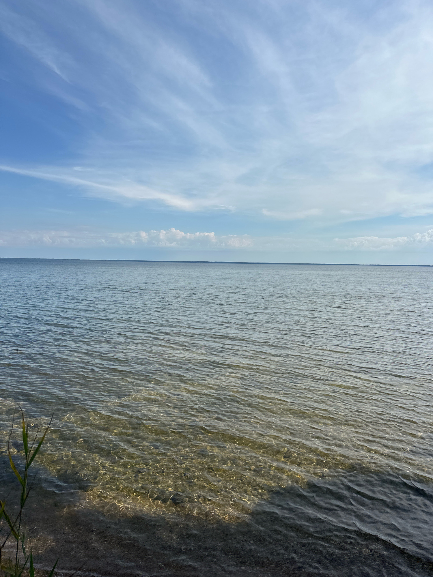 The image depicts a serene body of water under a bright blue sky with wispy white clouds. The water appears calm, with gentle ripples on the surface, and the sunlight penetrates the shallow areas, illuminating the sandy bottom and scattered pebbles. On the left side of the frame, a few blades of tall grass emerge from the sandy shore. The horizon line is distant and clear, separating the water from the sky. The scene suggests a tranquil natural setting, likely a lake or a large river. There are no people or man-made structures visible, contributing to the overall peaceful and natural atmosphere. The location, Нарацкі сельскі Савет, Belarus, is known for its natural landscapes and bodies of water, making this scene consistent with the environment of the region.