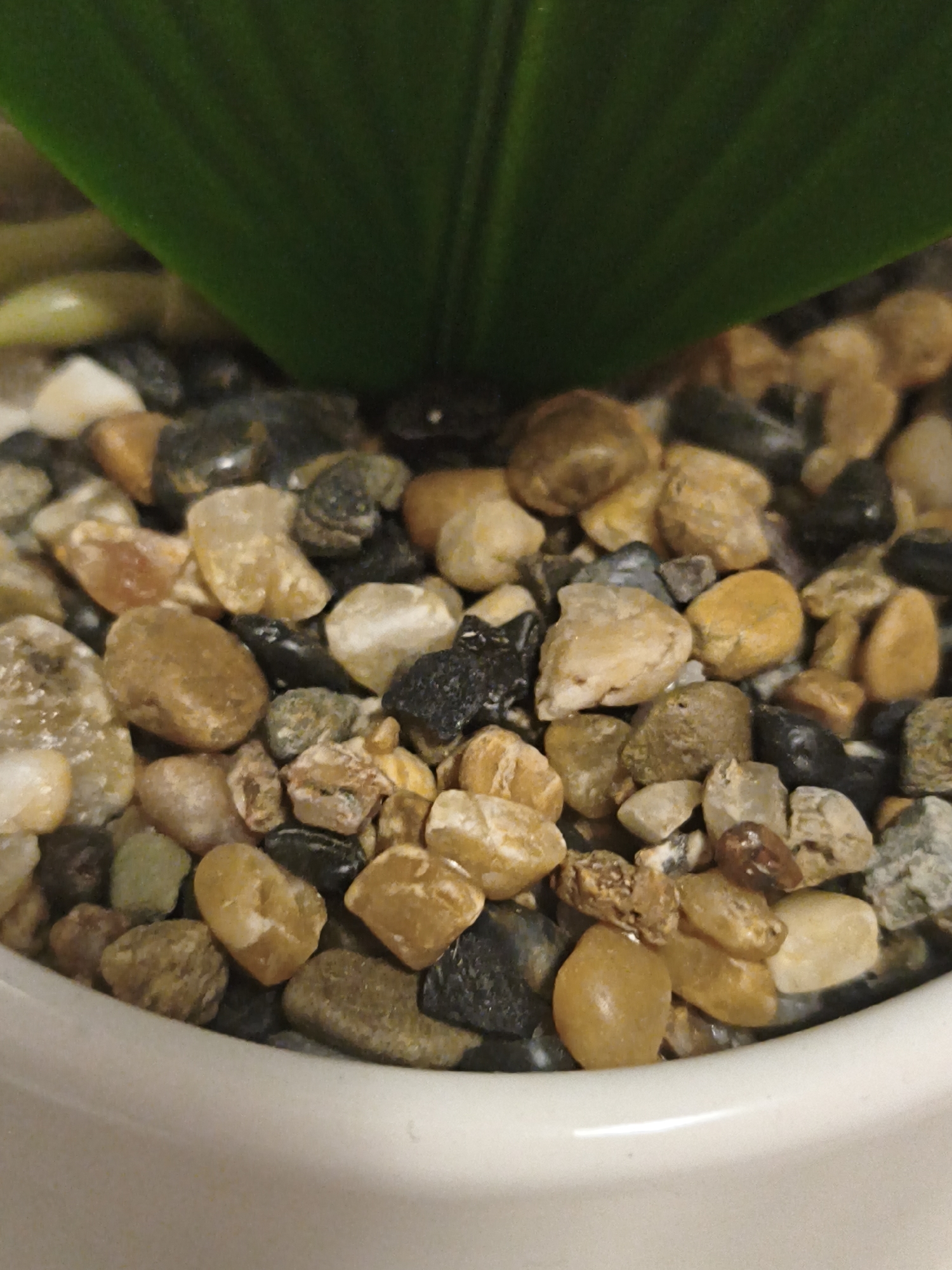 This is a close-up, eye-level shot of small, smooth, multicolored pebbles filling a white ceramic pot. A large, out-of-focus green leaf is visible in the upper portion of the image, partially obscuring the pebbles. The pebbles are a mix of earthy tones, including tan, brown, gray, and black, with some lighter, off-white stones interspersed. The lighting is artificial and casts soft shadows. There is no indication of the city of Steblivka, Ukraine in the image, as it is a close-up of inanimate objects without any recognizable landmarks or context.