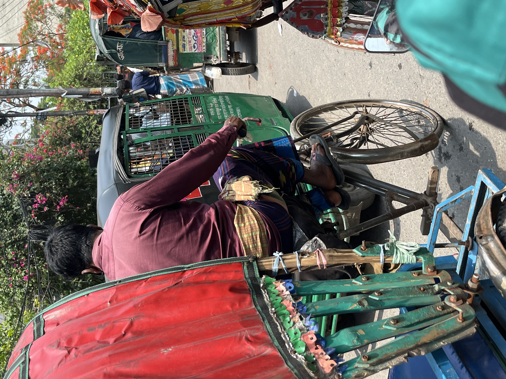 The image depicts a man riding a rickshaw on a street in Dhaka, Bangladesh. The man is wearing a maroon shirt and a patterned lungi. He is pedaling the rickshaw, which has a red canopy with green decorative trim. The rickshaw's frame is made of green and blue metal. In the background, there are other rickshaws and trees with red and pink flowers. The buildings can be seen in the distance. The day is sunny.