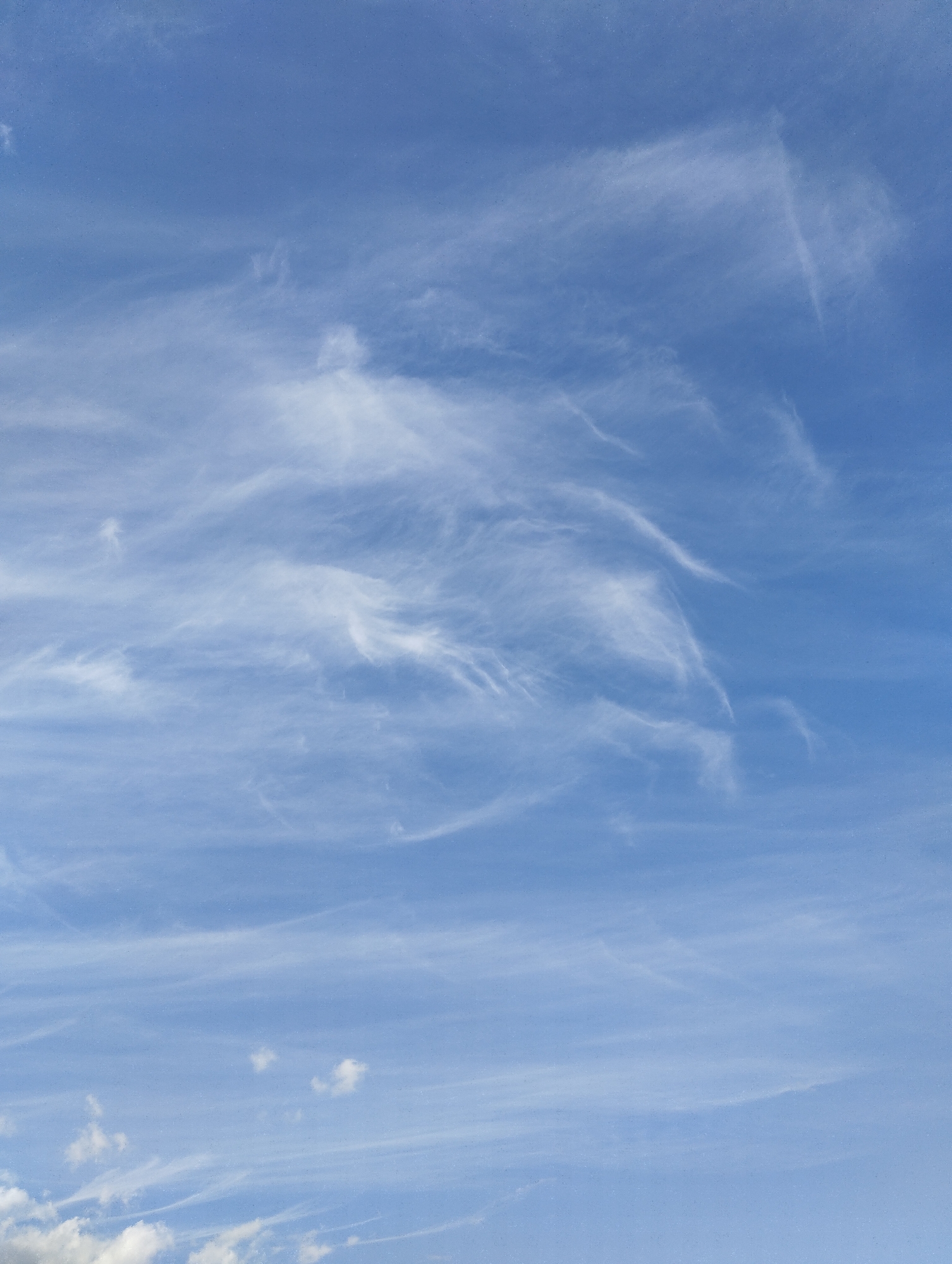 This is a photograph of a blue sky with wispy white clouds. The clouds are thin and spread out, appearing as streaks and delicate formations. The sky is a uniform light blue, suggesting it is daytime, possibly mid-morning or early afternoon. The image is taken from a low angle, looking upwards at the sky. There are no visible landmarks, buildings, or people in the frame, making the location impossible to determine. The overall impression is one of an open sky on a clear day.