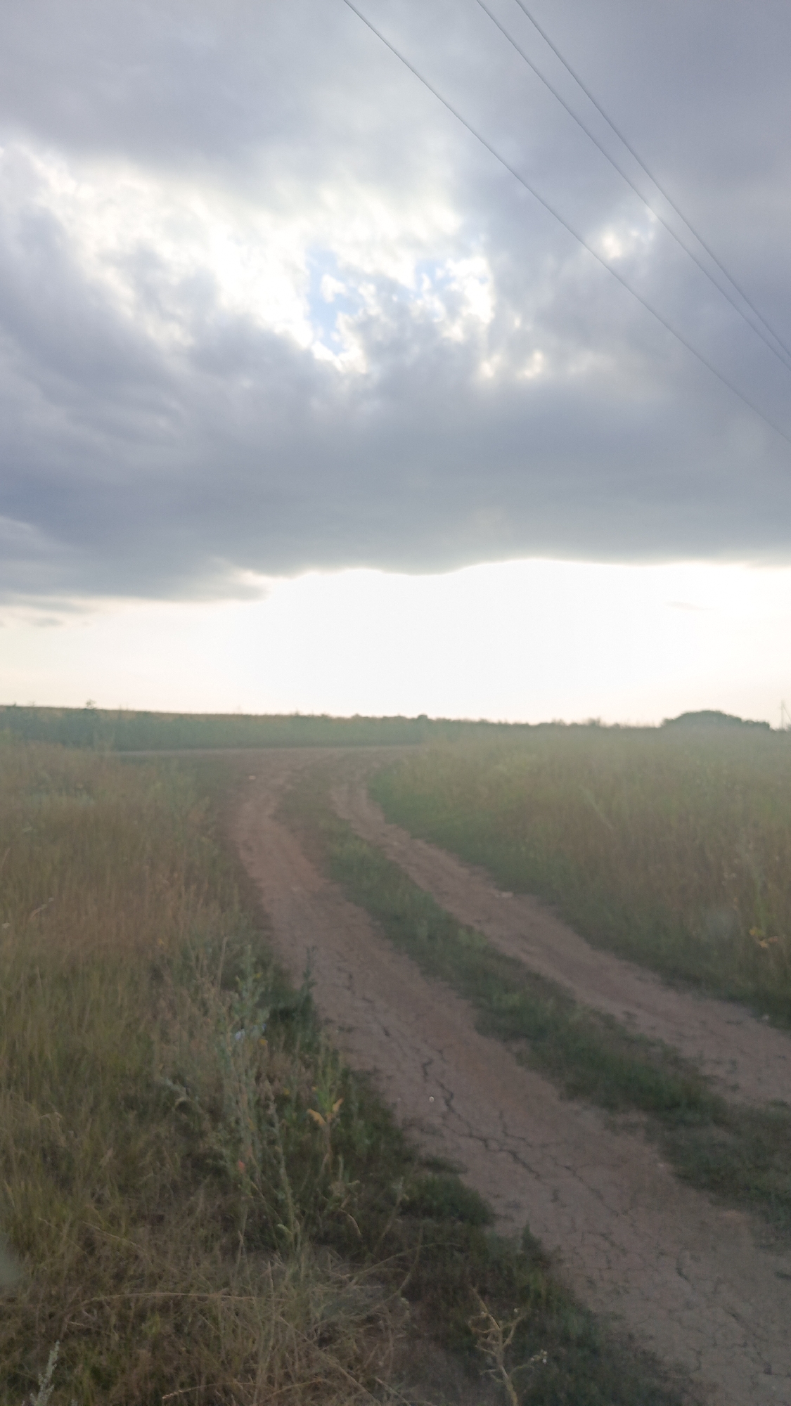 An exterior, eye-level, vertical medium shot captures a dirt road curving through a field of dry grass and vegetation under a cloudy sky. The road appears worn, with visible cracks in the dry earth. In the distance, the horizon is marked by a low line of trees and vegetation, with a bright, hazy band of light suggesting sunset or sunrise. Three thin, dark power lines stretch diagonally across the upper portion of the frame, disappearing into the sky. The environment appears rural and undeveloped. No people are present in the image.