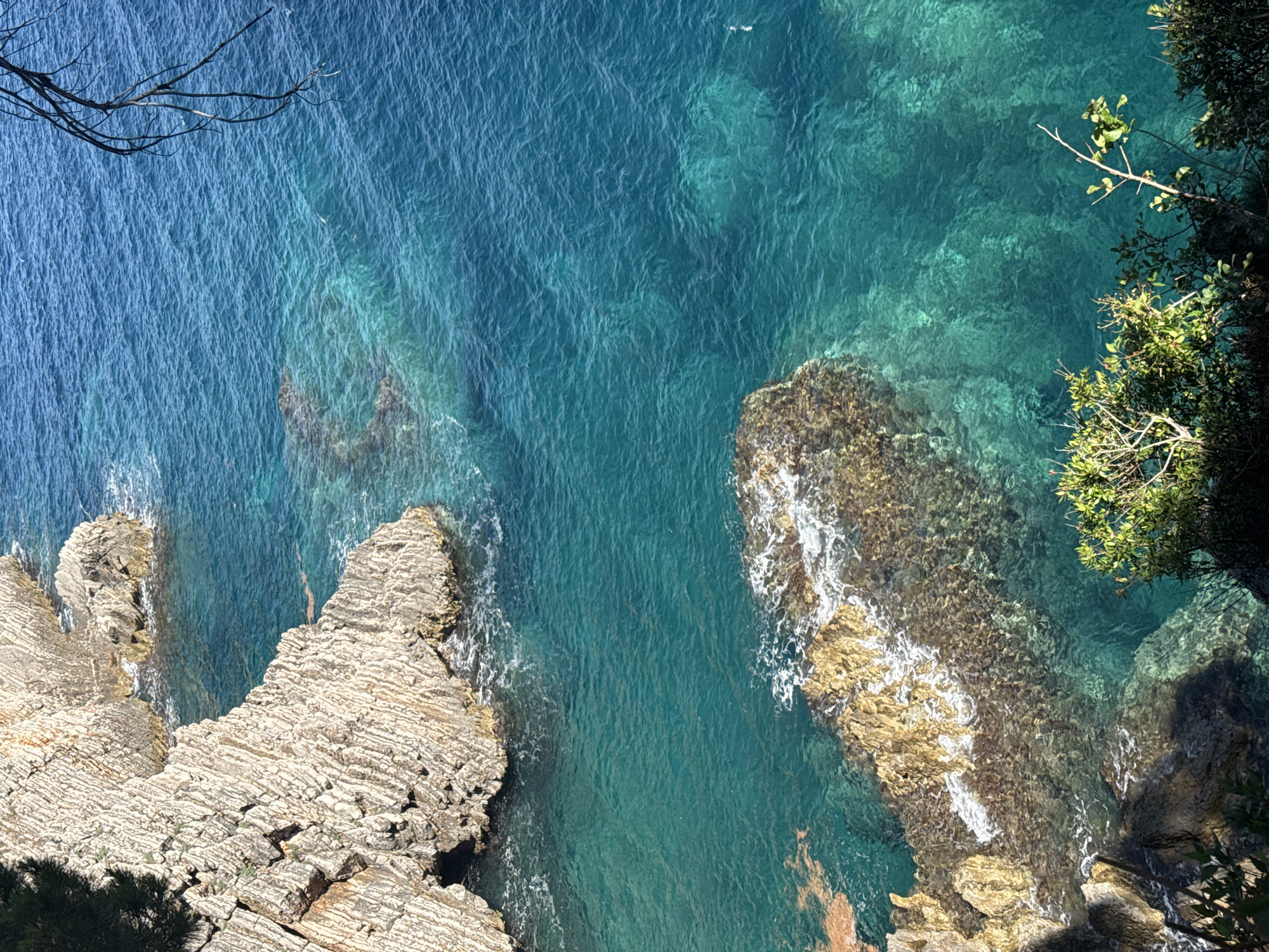 This high-angle, natural light photograph captures a section of the Adriatic Sea coast near Petrovac na Moru, Montenegro. The scene is dominated by the vibrant turquoise and deep blue hues of the clear water, revealing submerged rocks and a sandy seabed in shallower areas. Jagged, pale gray rock formations, characterized by their stratified texture, rise from the water along the left and lower portions of the frame, forming small coves and inlets. In the mid-ground, a cluster of sun-bleached, golden-brown rocks breaks the surface, with white foam indicating gentle waves lapping against them.
The water's surface is disturbed by ripples and small waves, particularly around the rocks. The color gradient of the water suggests varying depths and clarity, transitioning from a bright, almost translucent turquoise near the shore to a deeper, more opaque blue further out.
The upper right of the image features the silhouette of a bare tree branch extending into the frame, adding a stark contrast to the organic forms of the rocks and sea. The lower edge of the photograph is framed by dense, dark green foliage and branches of trees and bushes, partially obscuring the rocky shoreline and casting shadows onto the cliff face. There are no visible people or explicit human activity depicted in the scene, suggesting a natural, uninhabited coastal landscape. The overall impression is one of rugged coastal beauty and the clarity of the Mediterranean waters.