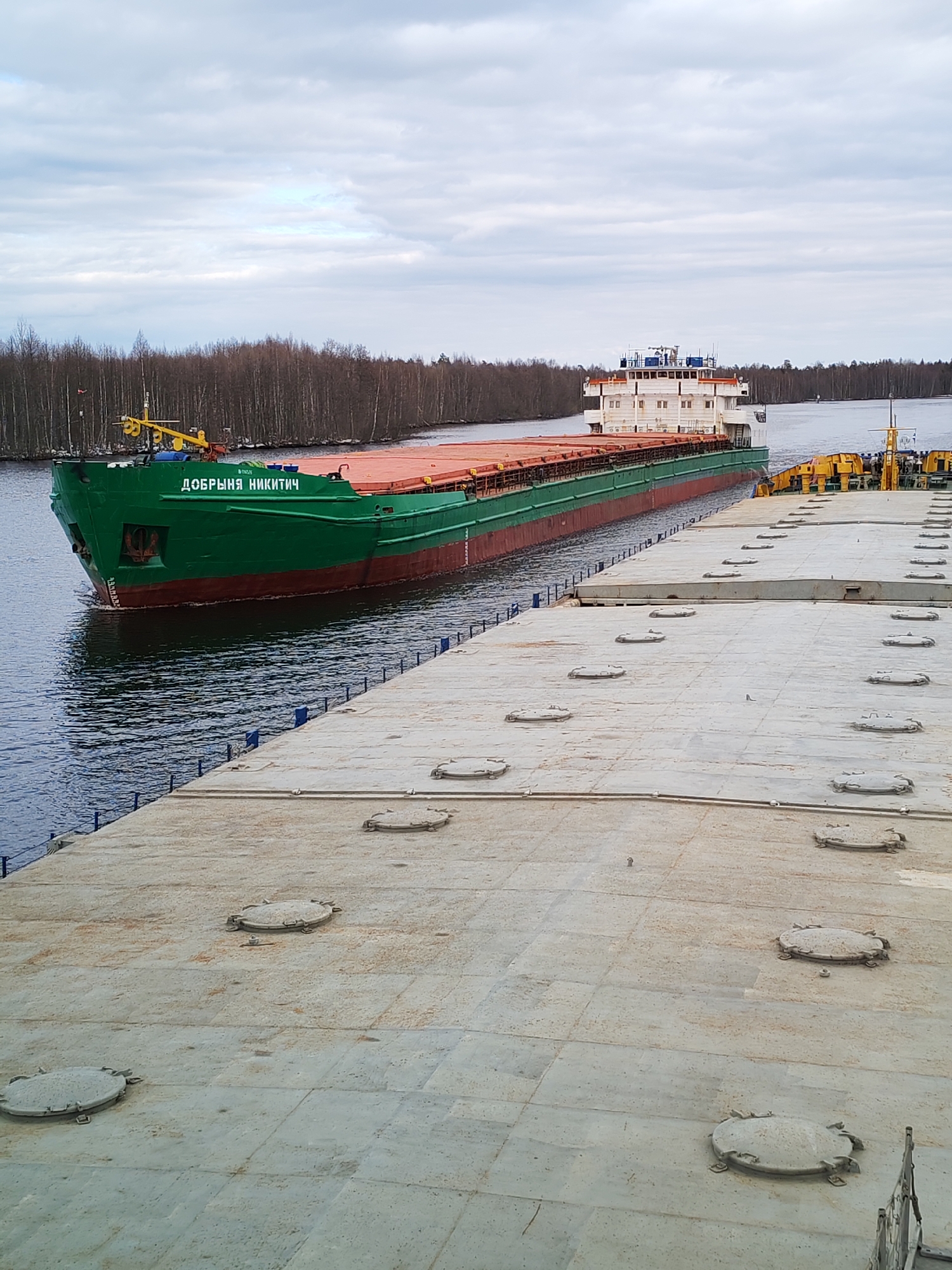 A large green and red cargo ship named "ДОБРЫНЯ НИКИТИЧ" (DOBRYNYA NIKITICH) is seen navigating a calm waterway, likely a canal or river, near Novokemskii, Russia. The ship's name is prominently displayed in white Cyrillic letters on its dark green bow. It features a red hull below the waterline and a multi-deck white superstructure at its stern. A yellow crane-like structure is visible towards the bow.
The image is taken from the deck of another vessel, possibly a barge, which occupies the lower and right foreground. This deck is a large, flat, gray industrial surface with numerous circular, bolted hatch covers evenly spaced across it, showing some signs of rust. A blue safety railing runs along the left edge of this foreground deck, separating it from the water.
The green cargo ship is underway, creating a subtle wake. The banks of the waterway are lined with a dense forest of bare trees, suggesting a cool season such as late autumn or early spring. The sky is overcast with scattered clouds, indicating daytime conditions with diffused light. No people are visible in the image. The scene conveys a quiet, industrial passage through a natural landscape.