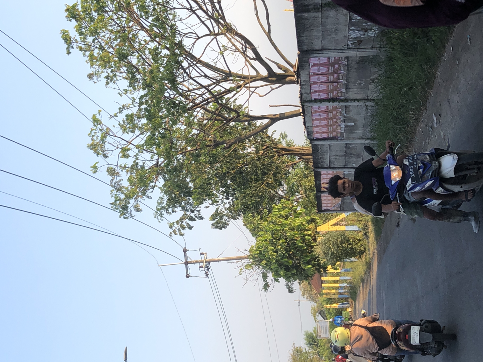 The image captures a street scene in Gempolsari, Indonesia, bathed in the soft light of what appears to be either early morning or late afternoon. The road is paved and a few motorcycles are present, suggesting a typical mode of transportation. On the right side of the road, a concrete wall is visible, adorned with posters. Adjacent to the wall, overgrown grass and weeds are growing, adding a touch of untamed nature to the urban setting. Several trees are scattered throughout the scene, their branches reaching towards the clear sky. Power lines crisscross overhead, supported by utility poles, indicating the presence of electricity infrastructure. The overall atmosphere is one of everyday life in a developing Indonesian city, with a blend of man-made structures and natural elements.