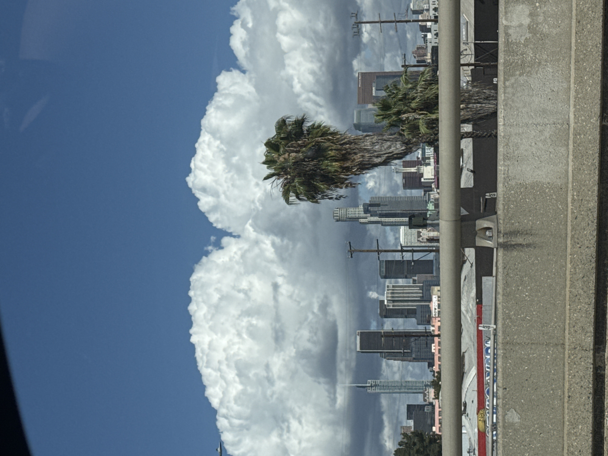 The image shows a view of the Los Angeles skyline, partially obscured by a large cumulonimbus cloud formation. The palm trees are in the foreground, while a mix of mid-rise and high-rise buildings make up the cityscape. The sky is a clear blue where not covered by the clouds. The scene appears to be photographed from an elevated position, possibly a freeway overpass or building, with a concrete barrier or wall visible in the foreground.