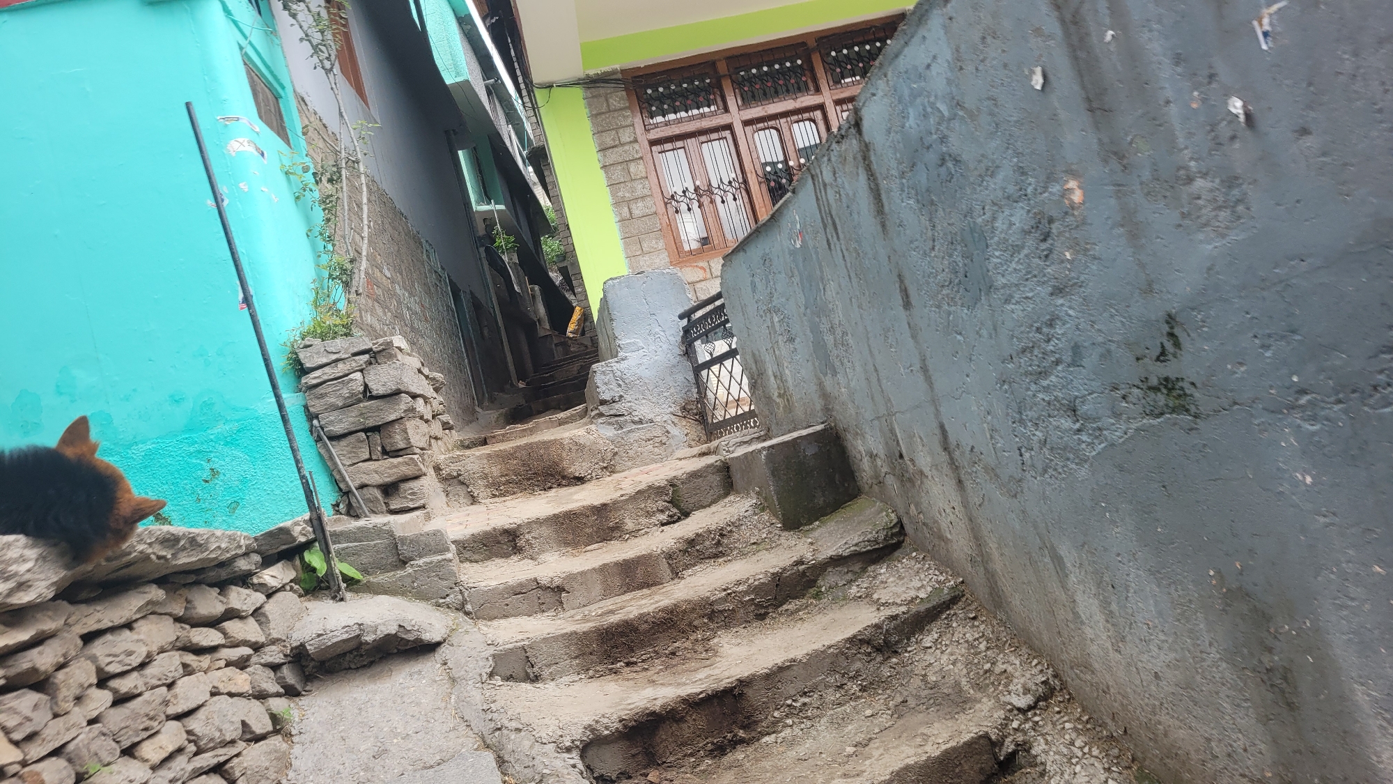 In Vashisht, India, a narrow, outdoor stone staircase ascends between two buildings. The building on the left has a vibrant turquoise facade, while the building on the right features a light green upper story with a wooden-framed window. A dark gray concrete wall dominates the right side of the frame, partially obscuring the stairs and the building on the right. A small, wrought-iron gate is visible at the top of the visible staircase section. At the bottom left of the image, a dog with black and tan fur is resting on a low, stone wall, facing away from the camera. The scene appears to be in a rural or semi-urban area, characterized by stone construction and an unpaved pathway.