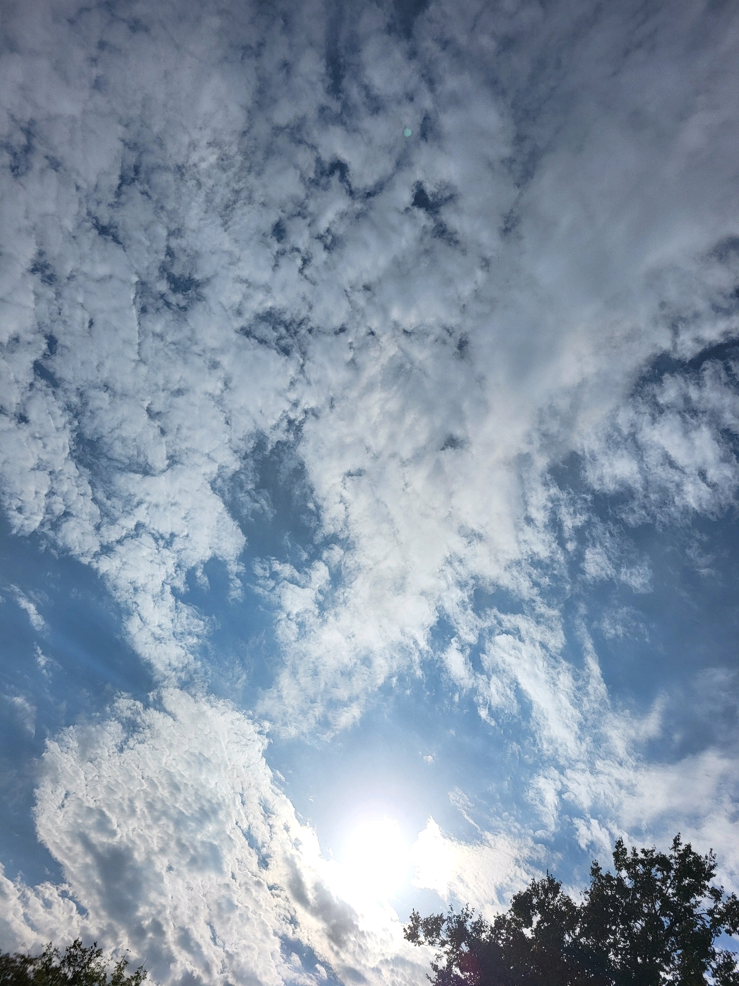 The image captures a bright, partly cloudy sky over Jelgava, Latvia. The sun is visible, partially obscured by clouds, casting a bright glare towards the bottom right of the frame. The clouds are varied, with some appearing thin and wispy, while others are more dense and textured, displaying shades of white and grey. The sky itself is a clear blue, transitioning to lighter tones near the sun. In the lower portion of the image, the dark silhouettes of tree branches are visible against the sky, suggesting the presence of a wooded area or park. There are no people or discernible objects on the ground. The perspective is looking upwards from ground level.