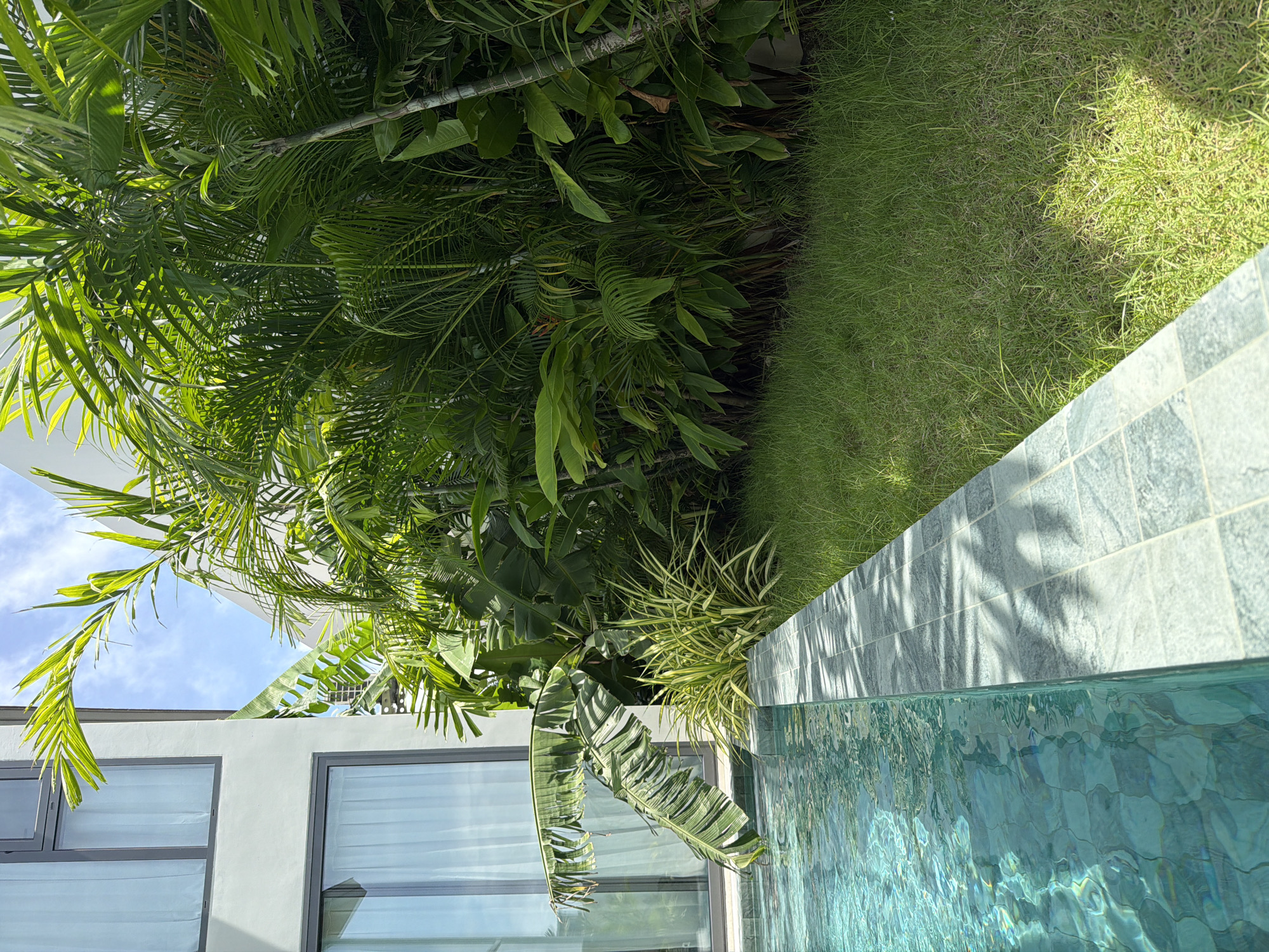 In Choeng Thale, Thailand, a swimming pool with clear, turquoise water borders a meticulously tiled edge. To the right of the pool, a verdant lawn stretches out, dotted with sunlight patches. Beyond the lawn, a dense collection of lush green tropical plants and palm trees creates a vibrant backdrop. A modern building with large windows and white walls is partially visible on the left, hinting at a resort or residential setting. The sky above is a clear, bright blue with scattered white clouds.