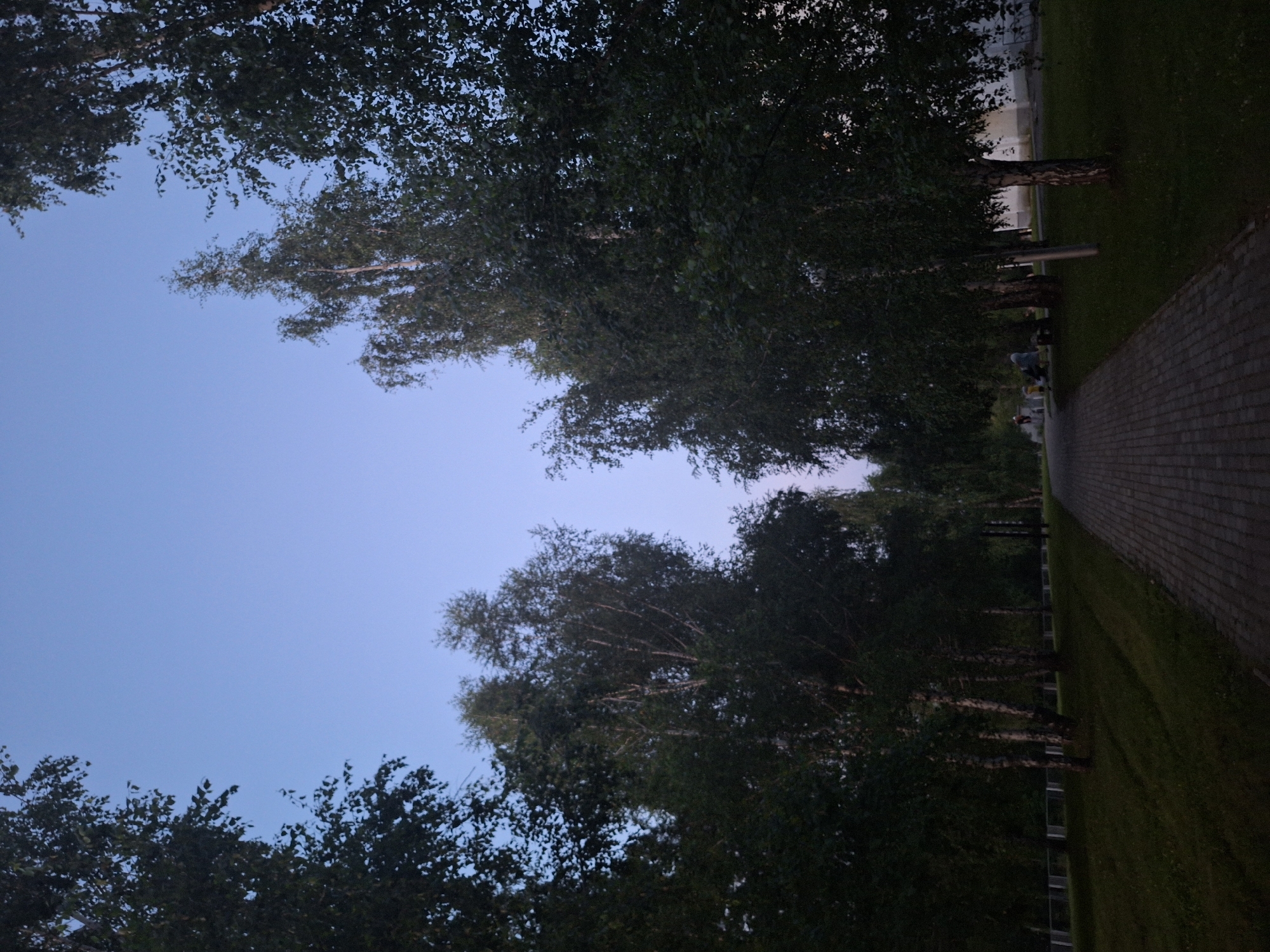 The image depicts a paved pathway lined with trees, likely in a park or residential area. The sky is clear and a pale blue, indicating either early morning or late evening. The pathway is constructed of reddish-brown brick pavers, and it recedes into the distance, flanked by lush green grass and numerous tall trees with dark green foliage. The trees are predominantly birch trees, characterized by their white bark and slender trunks. In the background, on the right side, a portion of a light-colored building is visible. On the left side of the pathway, several people are present. A group of individuals, including at least one adult and a child, appear to be interacting. The overall impression is one of a quiet, serene outdoor scene, possibly in a suburban or park setting.