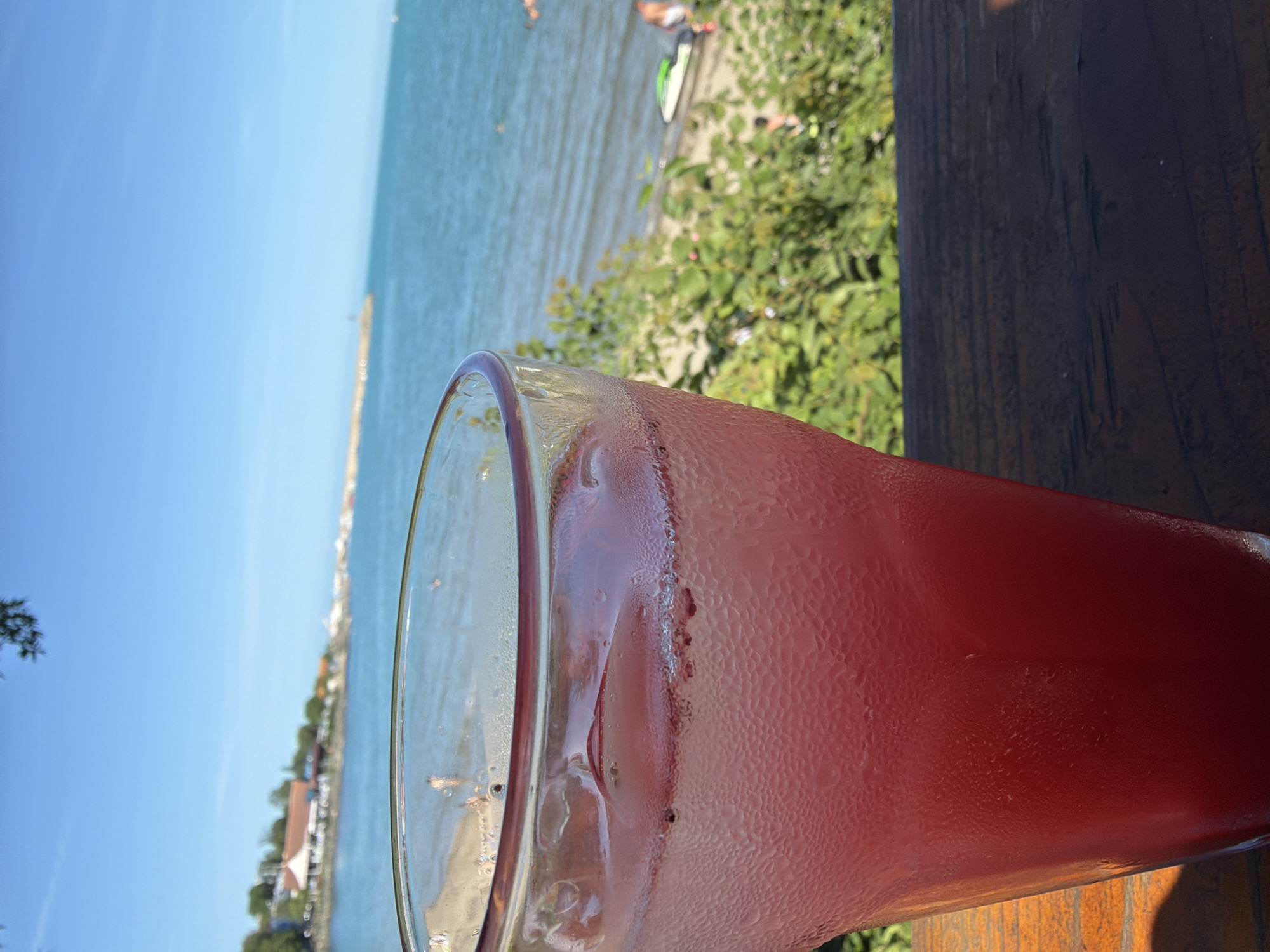 A clear, tapered glass containing a vibrant, deep red liquid with ice cubes and small dark particles (likely fruit) is positioned in the lower-left foreground, resting on a dark, horizontally-grained wooden surface. The glass is heavily covered in condensation, indicating a cold beverage. Behind the glass and to its right, dense green foliage is visible. The background reveals a bright, clear blue sky above a calm, blue-green sea, indicative of the Black Sea coast in Tsarevo, Bulgaria. A light sandy beach is visible along the waterline. On the beach, a white and green jet ski is parked near the water's edge, with a blurred human figure standing beside it. Another blurred figure is partially visible swimming or floating in the water further offshore. To the left, a long, light-colored pier or breakwater extends into the sea, terminating with a small dark structure. Distant buildings with light walls and reddish-brown roofs are discernible along the far coastline. The scene is illuminated by bright natural sunlight.