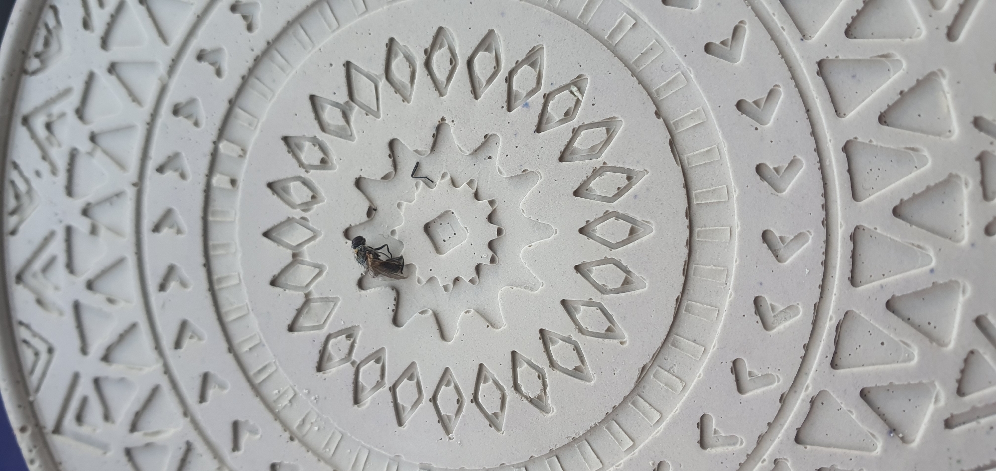 The image is a close-up, overhead shot of a light-colored, textured object, possibly a decorative tile or coaster, with a dead fly resting on it. The object features a circular, embossed design with concentric rings of various patterns, including diamond shapes, chevron-like markings, and gear-like indentations. The fly, dark in color with visible wings and legs, is positioned in the center of the design, nestled within a gear-shaped recess. The overall color palette is monochromatic, dominated by the light neutral tone of the object, with the dark fly providing a stark contrast. The background is out of focus, but appears to be a dark surface. There are no visible people, text, or indications of time of day, weather, or specific location cues, other than the provided context of Riga, Latvia. The scene is static, with the only element of activity being the deceased insect.