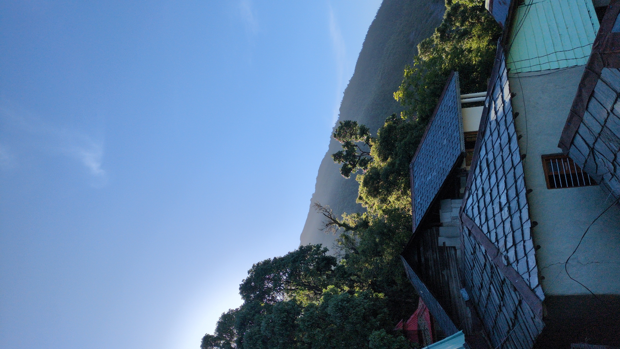 The image shows a view in Haini, India, featuring a hillside covered with trees. To the right, there are buildings with roofs made of dark tiles. The sky is a clear blue with some light clouds. The angle of the photo suggests it was taken from an elevated position.