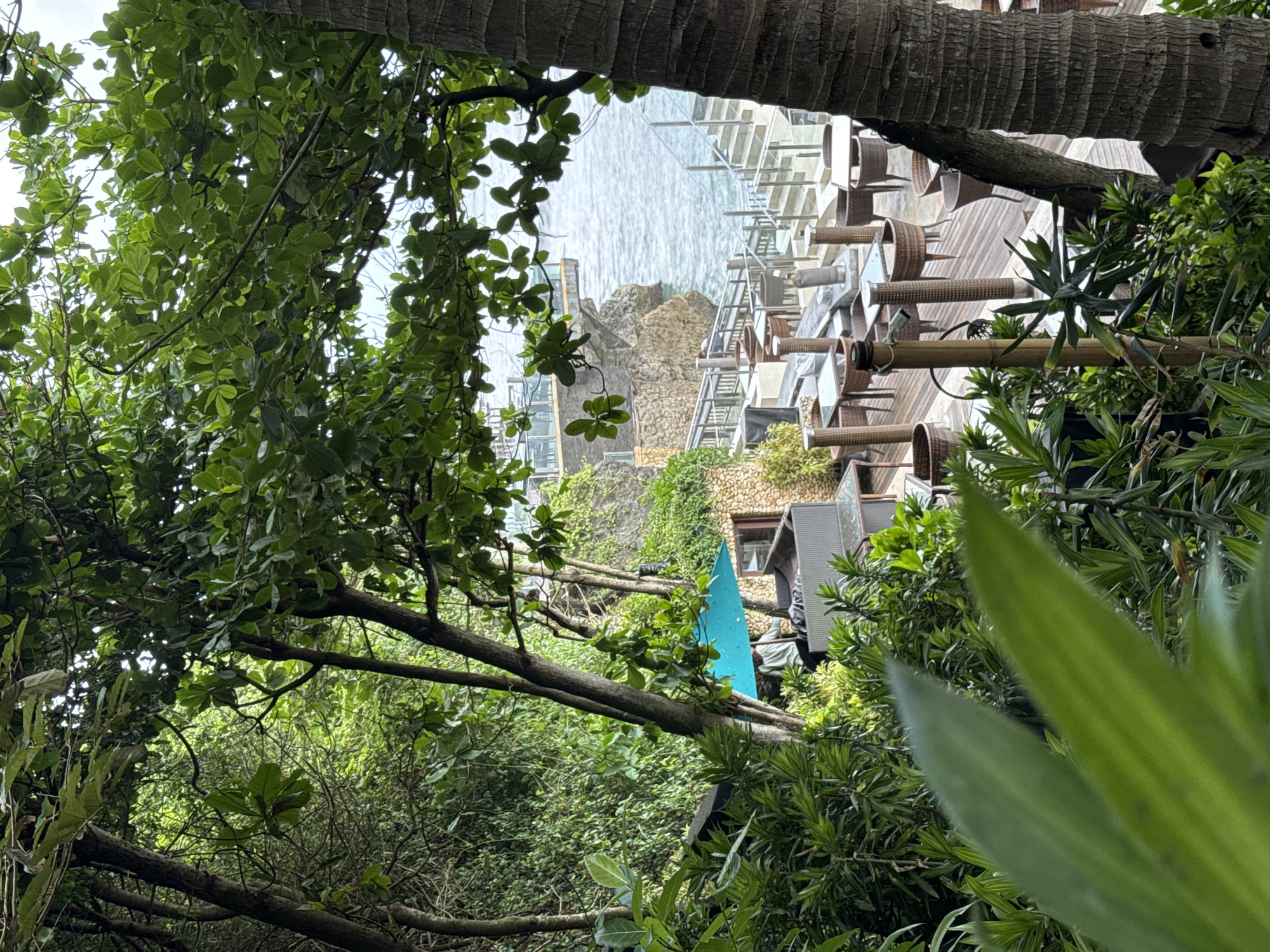 The image captures a partial view of a restaurant with tables and chairs, possibly located in Kuta Selatan, Indonesia, as it overlooks the ocean and a rocky cliff. The foreground is dominated by lush, green vegetation, including trees and various plants, partially obscuring the view. A portion of a palm tree trunk is visible at the top of the image. The architecture appears modern, with glass and wood elements.