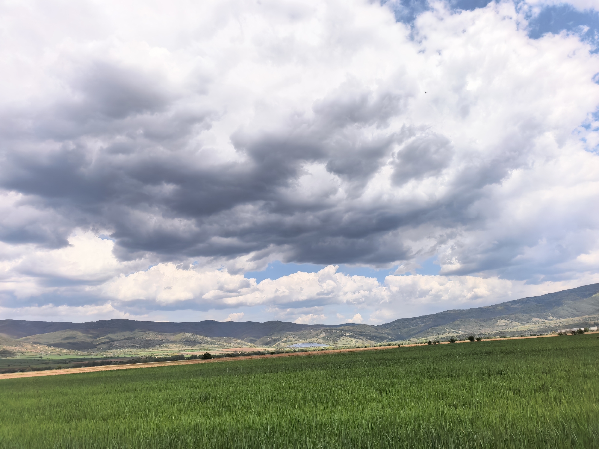 The image presents a vast, panoramic landscape in Sapareva Banya, Bulgaria, dominated by natural elements under a dramatic sky. In the foreground, an expansive field of vibrant green crops, likely young wheat or similar growth, stretches towards the viewer, covering the lower half of the frame. The individual blades of grass are discernible, giving texture to the field.
Beyond the green field, a band of reddish-brown earth is visible, hinting at tilled soil or a different crop. The midground and background are defined by a series of undulating green hills and mountains that recede into the distance, some covered in dense vegetation while others show exposed earth. A small, dark blue body of water, possibly a lake or reservoir, is nestled among these hills in the central-left distance. A few scattered trees are visible in the midground and along the distant slopes.
The sky, occupying the upper half of the image, is filled with large, volumetric cumulus clouds. These clouds range in color from bright white to dark, stormy gray, creating a dynamic and somewhat overcast atmosphere. Despite the heavy cloud cover, patches of clear blue sky are visible, particularly in the upper right and central parts of the frame, indicating a day of shifting weather. The light suggests it is daytime, possibly late morning or early afternoon. No people, discernible objects of human construction beyond possibly agricultural land use, or visible text are present in the scene. The overall impression is one of natural grandeur and tranquility.