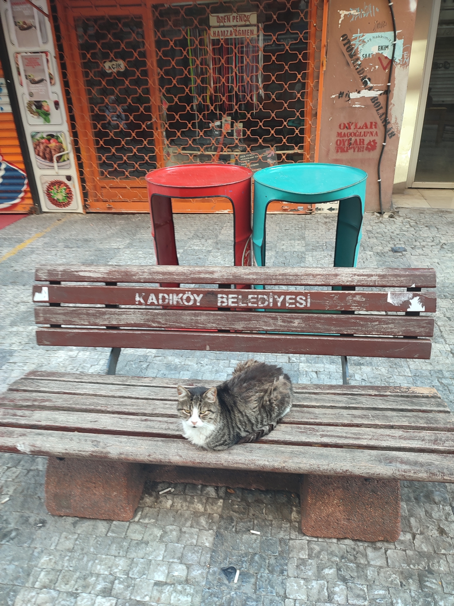The image depicts a street scene in Kadıköy, Turkey. In the foreground, a tabby cat is resting on a weathered wooden bench with a red-brown stone base. The bench has a weathered appearance and appears to be made of wooden slats. In white lettering on the backrest of the bench, the words "KADIKÖY BELEDIYESI" are visible, indicating it is a public bench managed by the Kadıköy Municipality. Behind the bench, two brightly colored stools, one red and one turquoise, are positioned in front of a storefront. The storefront has an orange metal grate covering the entrance and display windows. Various signs and posters are affixed to the wall of the building to the right of the storefront, some of which appear to be advertisements or public notices. The ground is paved with cobblestones. The overall scene suggests a typical urban environment in a commercial area.