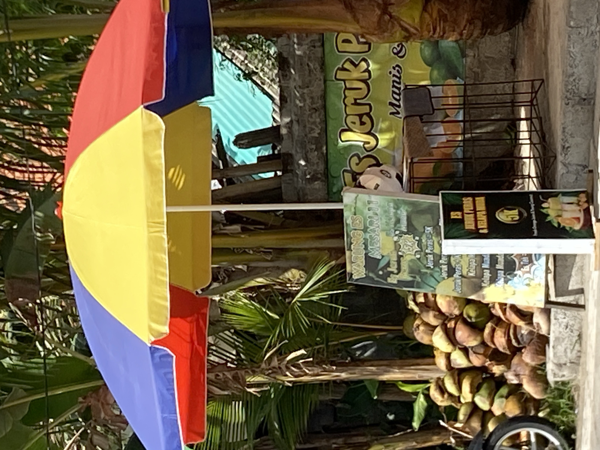 In Mengwi, Indonesia, a roadside stall displays an array of fresh produce and beverages under a colorful, multi-paneled umbrella. Piled high are coconuts, some split open revealing their flesh, hinting at the drinks likely sold. Behind the coconuts, a vendor's sign, partially obscured by an umbrella pole, lists various drink options and prices in Indonesian currency, with titles such as "Es Jeruk P" and "Kelapa Muda." Adjacent to the coconuts, a wire rack holds bottles of what appear to be orange juice or similar beverages. The stall is situated outdoors, with lush green foliage from palm trees and other tropical plants providing a natural backdrop. The scene is bathed in sunlight, casting shadows and highlighting the textures of the fruits and the vibrant colors of the umbrella and signage. A motorcycle is partially visible on the left edge of the frame. The overall impression is a bustling, local market scene, characteristic of many Indonesian cities.
