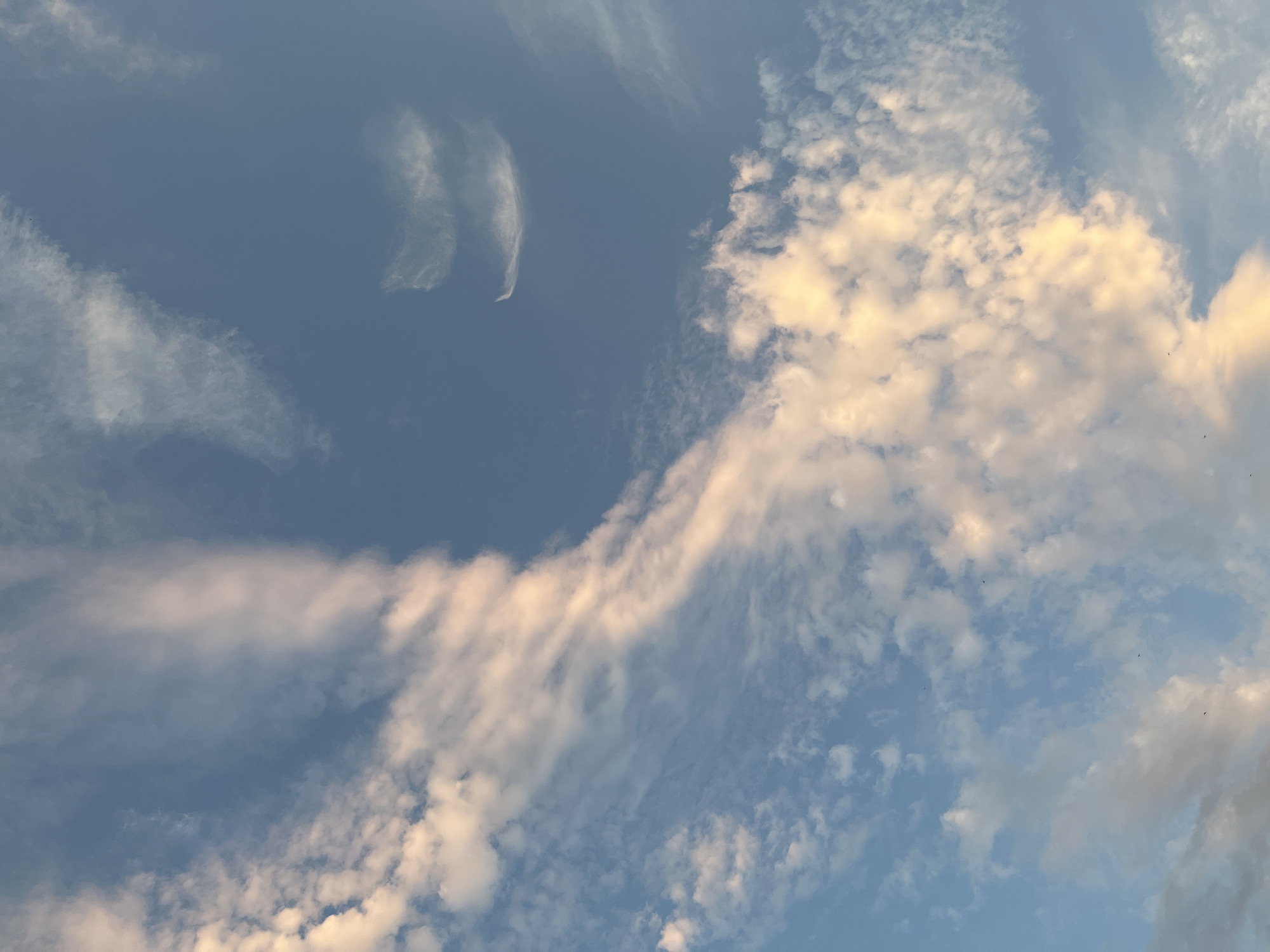 A low-angle shot captures a vast expanse of the sky above Brasov, Romania, dominated by a mix of soft, wispy clouds and larger, more defined formations. The sky transitions from a pale blue at the top to a lighter, almost pastel blue near the bottom. A large, elongated cloud band arches across the upper left quadrant, illuminated by the sun and appearing bright white with hints of peach and pink. Smaller, scattered clouds, some with a textured, feathery appearance, are dispersed throughout the frame. In the lower right and bottom sections, larger, more substantial clouds are present, also catching the warm glow of sunlight, giving them a golden-white hue. A few dark, minuscule specks, possibly birds, are visible against the sky. The overall impression is one of a serene, late afternoon or early evening sky.