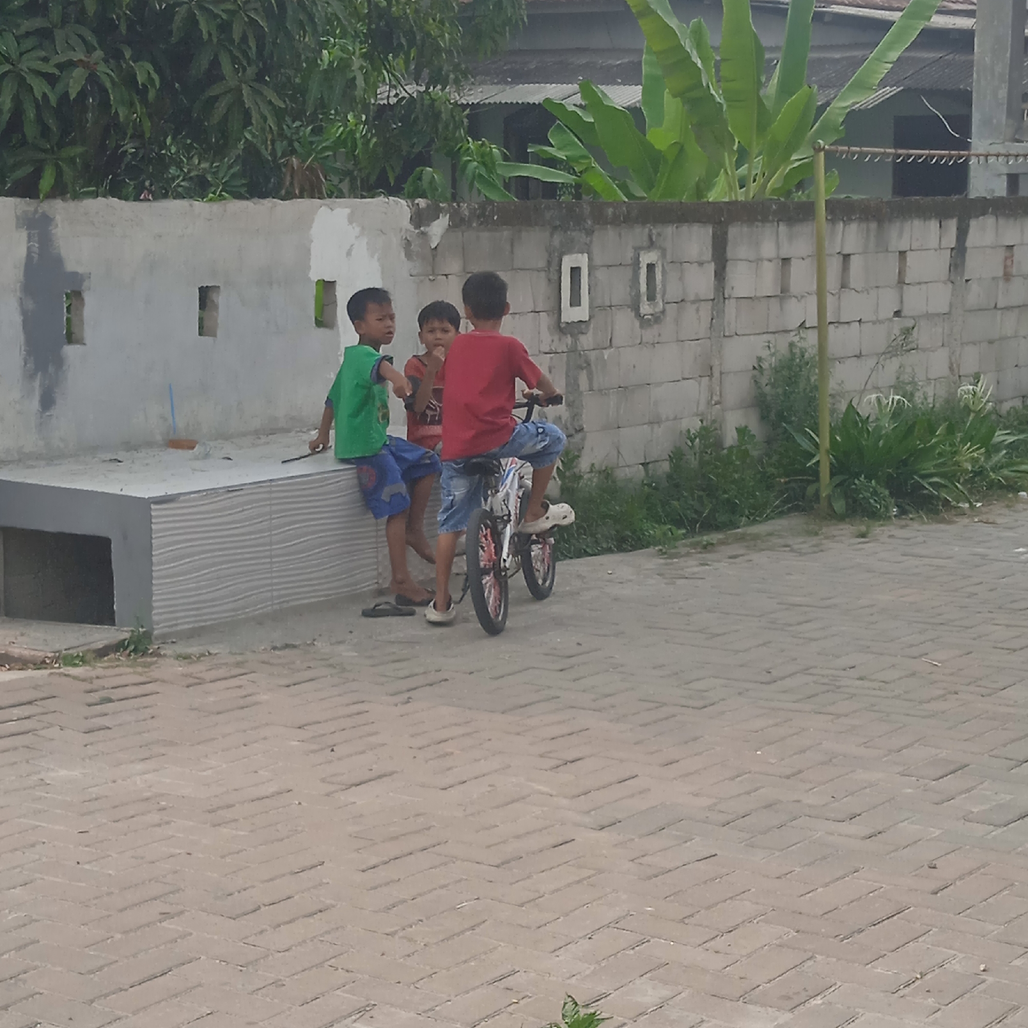 Three young boys are gathered near a concrete bench in front of a brick wall in Situterate, Indonesia. The boy on the left is wearing a green t-shirt and blue shorts, sitting on the bench. The boy in the middle is wearing a reddish-brown shirt and is standing next to the boy on the left. The boy on the right is wearing a red t-shirt and blue shorts and is sitting on a bicycle. The bicycle is white with red accents and has a black frame. The boys appear to be interacting with each other. The environment is outdoors, with greenery and a house visible in the background. The ground is paved with interlocking bricks.