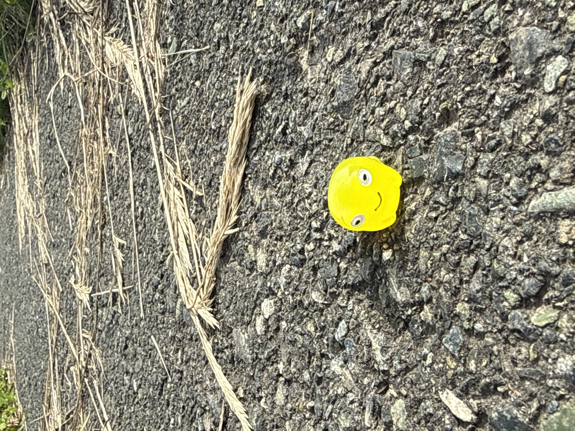 This media file shows a small, yellow, toy figurine of a smiley face lying on a dark, asphalt-like surface with visible small stones and gravel. The figurine has two black dots for eyes and a black curved line for a mouth, giving it a cheerful expression. To the left of the figurine, there are several dry, light-colored blades of grass or wheat stalks. The lighting suggests it is daytime, possibly late morning or afternoon, with the sun casting shadows and highlighting the textures of the ground and the grass. The overall scene appears to be outdoors, possibly on a roadside or a path, given the asphalt and dry vegetation. There is no visible text in the image. The image is cropped to focus on the figurine and its immediate surroundings, with a hint of green vegetation at the bottom left corner.