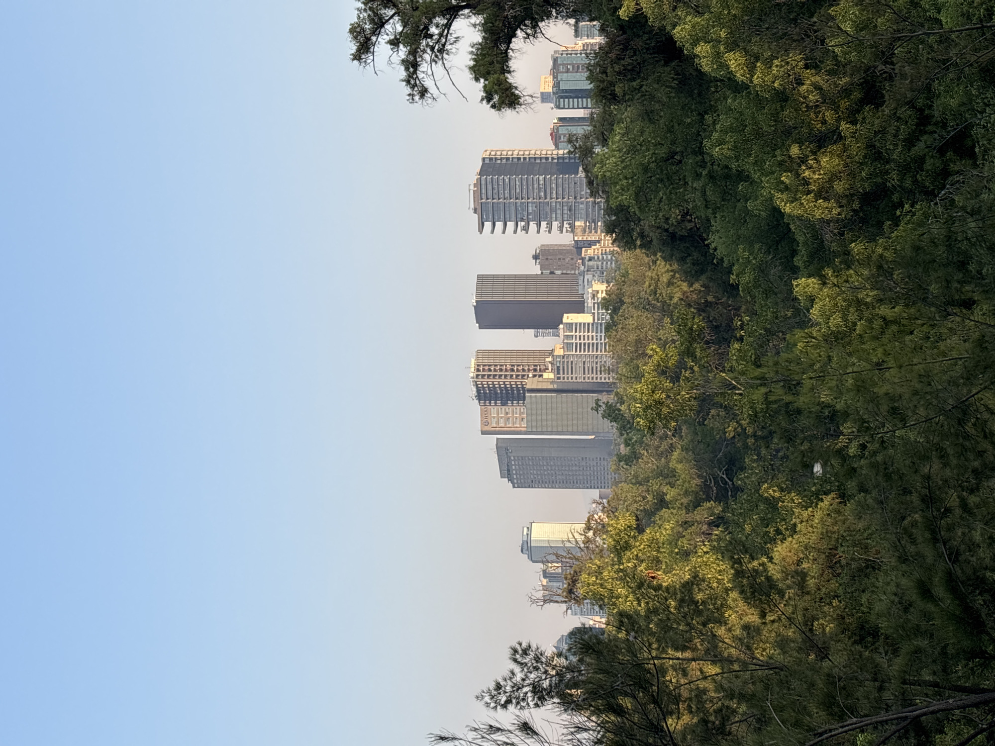 The image depicts a view of the Mexico City skyline through trees. The sky is light blue, likely indicating a clear day. Several skyscrapers are visible, varying in height and design. The trees in the foreground are green and lush, creating a sense of depth and framing the urban landscape. The image appears to be taken from a slightly elevated position, possibly in or near Chapultepec Park, offering a view of the city skyline.