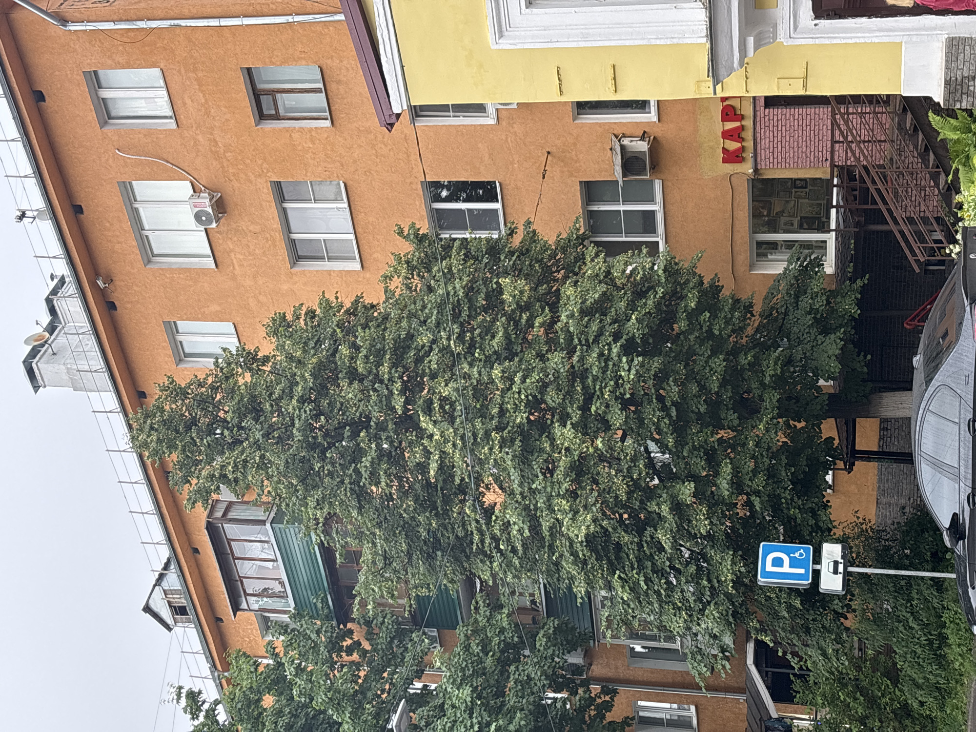 The image captures a street-level view of an apartment building with an orange facade in Nizhny Novgorod, Russia. The building features multiple windows and balconies, some with green trim. A large, leafy tree partially obscures the building. In the foreground, a blue and white sign indicates a parking spot for individuals with disabilities, accompanied by a sign showing a car. A black car is partially visible in the lower left corner. To the right of the orange building, a yellow structure with a dark doorway is present, and a sign with red lettering, possibly a store name, is visible on the orange building above a brick entryway. The sky is overcast.