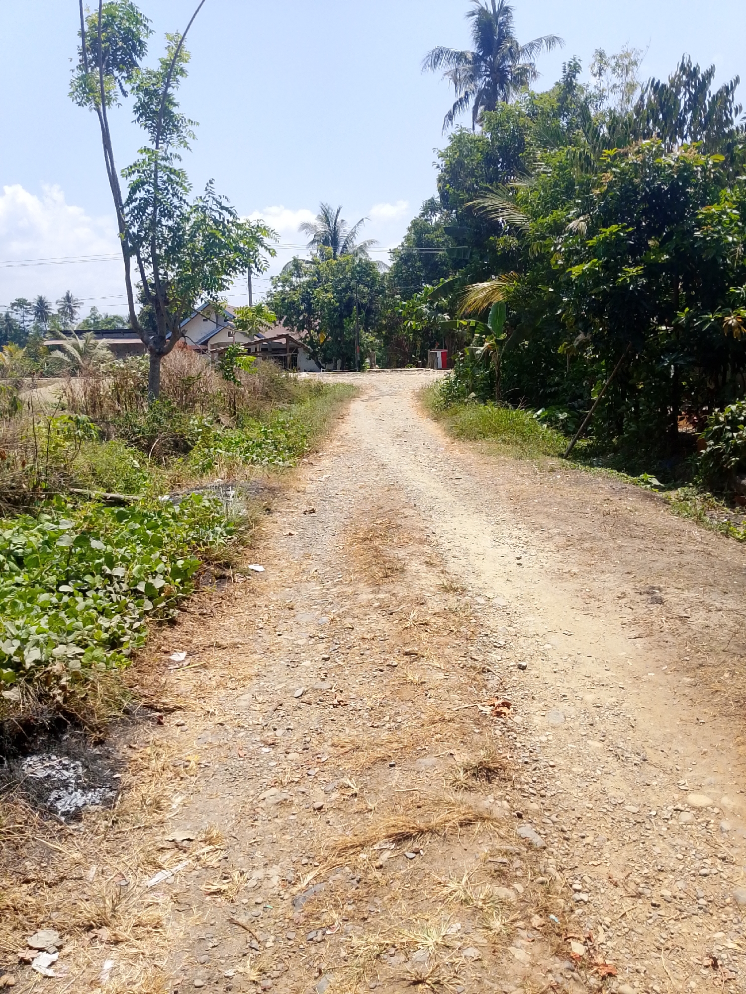 A dirt road winds through a rural area, likely in the vicinity of Se'pon, Indonesia. The road is flanked by lush green vegetation, including trees, bushes, and tall grass. In the background, several houses with tiled roofs are visible, interspersed with more trees. The sky is a clear blue with a few scattered clouds. The scene suggests a warm, sunny day.
