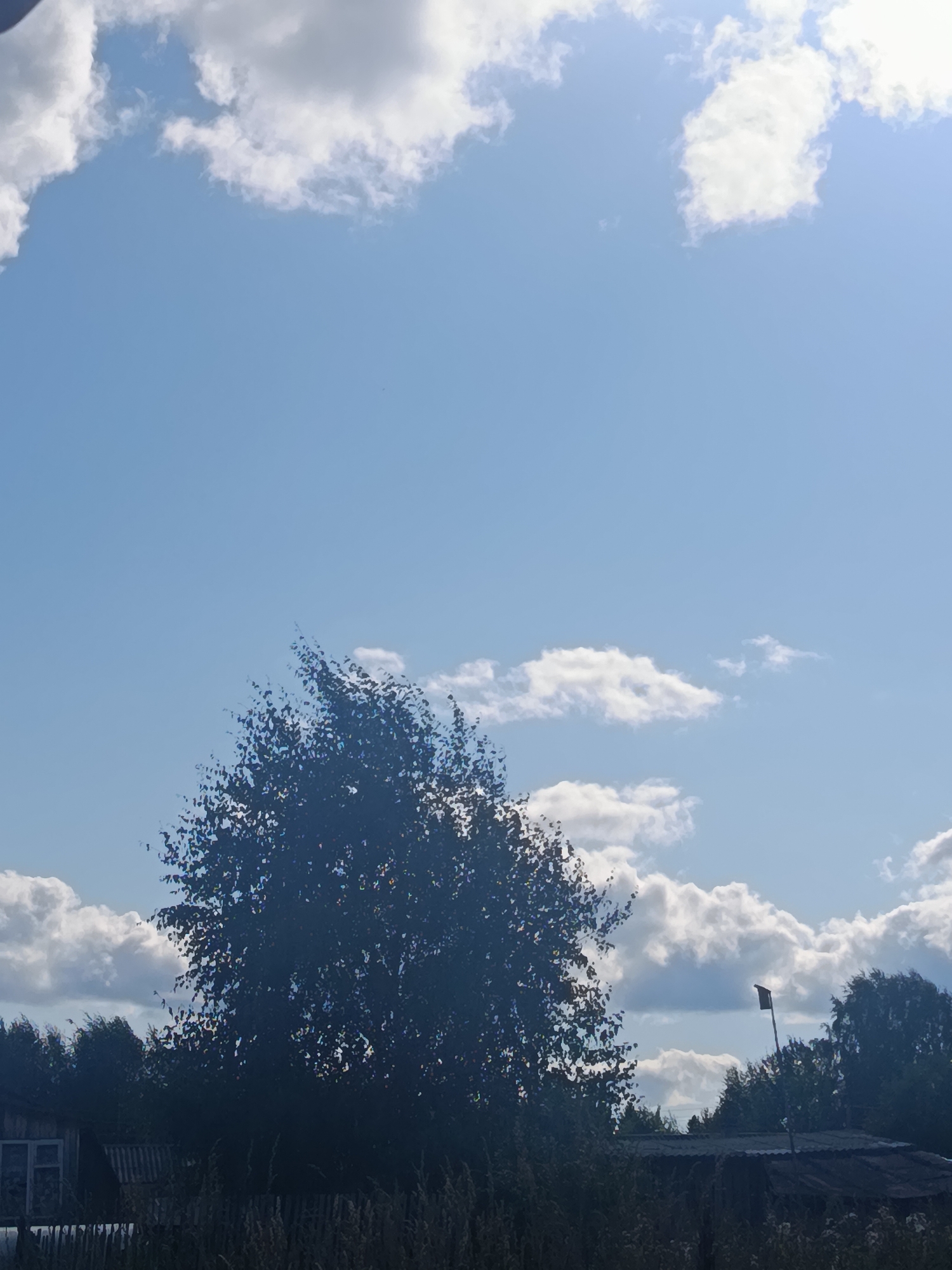The image displays a rural landscape in the city of Vakhtan, Russia, under a clear blue sky dotted with fluffy white clouds. In the foreground, a dense, dark green tree dominates the lower-left portion of the frame, its leaves appearing somewhat blurred. To the left of the tree, the edge of a wooden structure with a window is visible, partially obscured by tall grass. Behind the tree and to the right, a series of dark green trees form a treeline. A small, dark, box-like structure on a pole stands out against the sky in the middle-right of the image, positioned behind the main tree and in front of the treeline. The overall scene suggests a sunny day in a natural, possibly undeveloped, area.